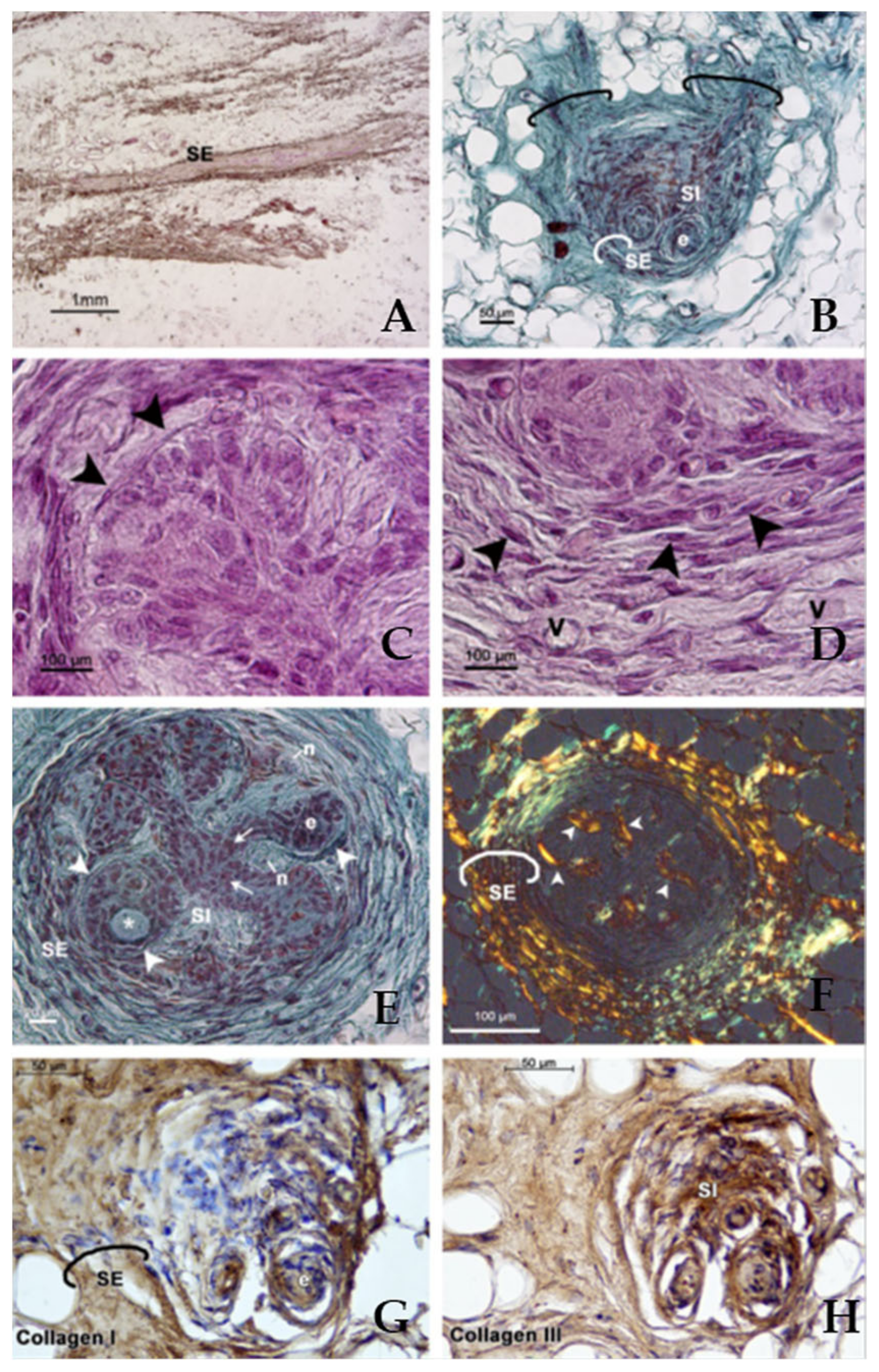 Diagnostics 12 00552 g002