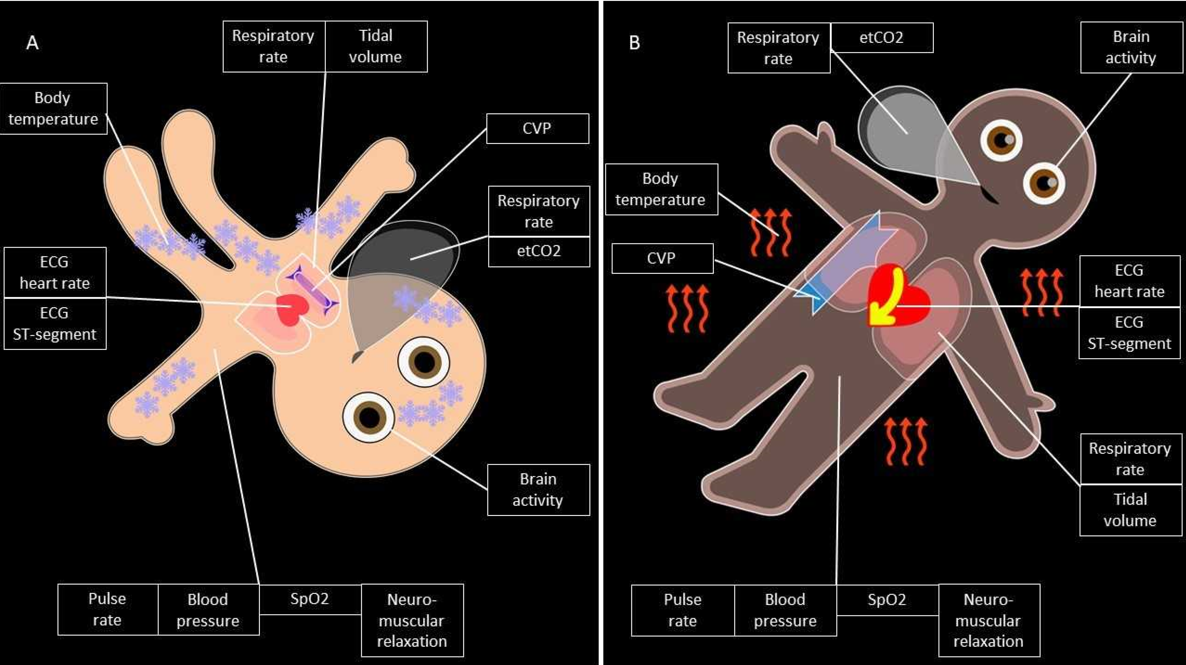 Diagnostics 12 00555 g003