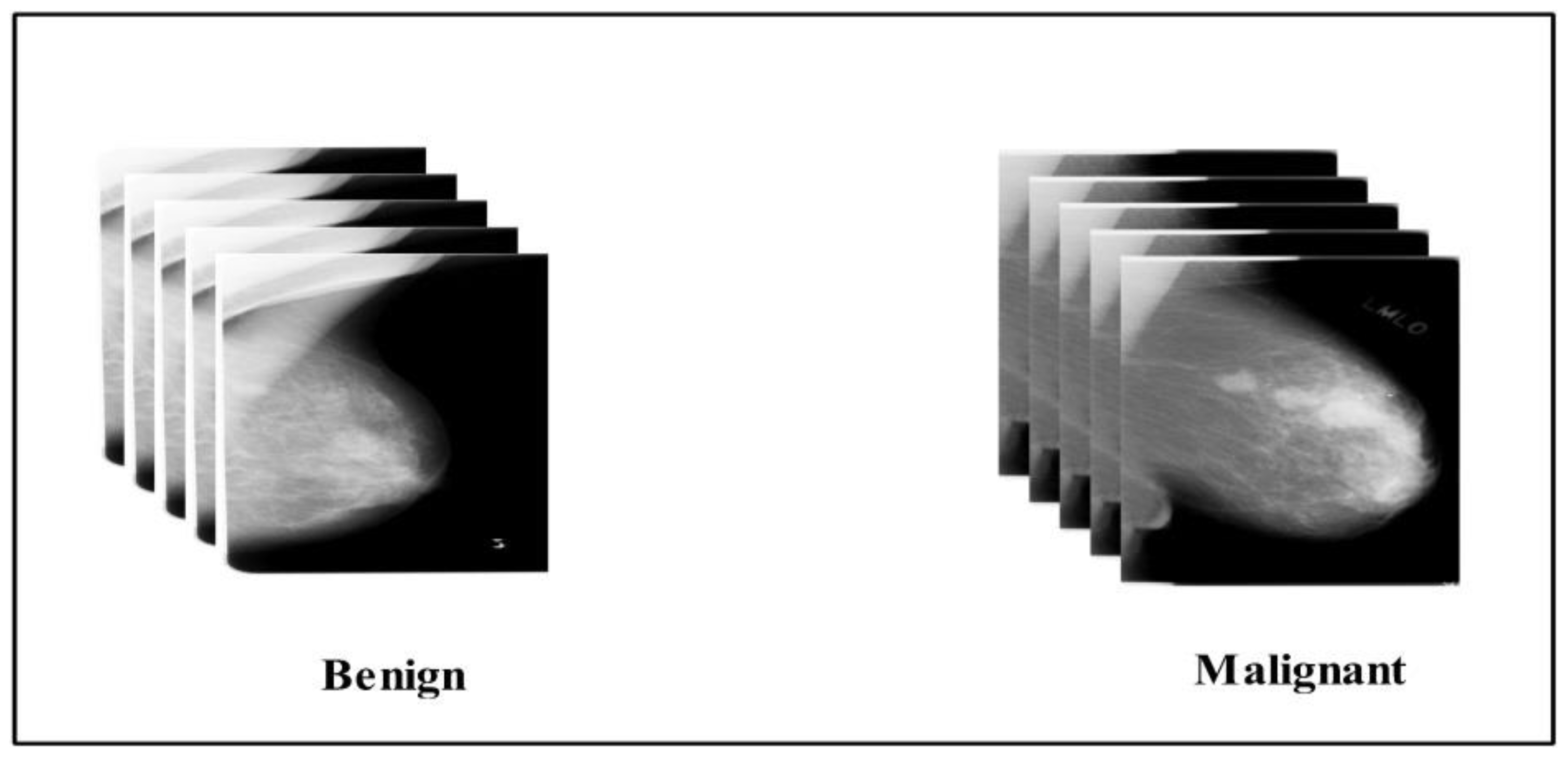 Diagnostics 12 00557 g002