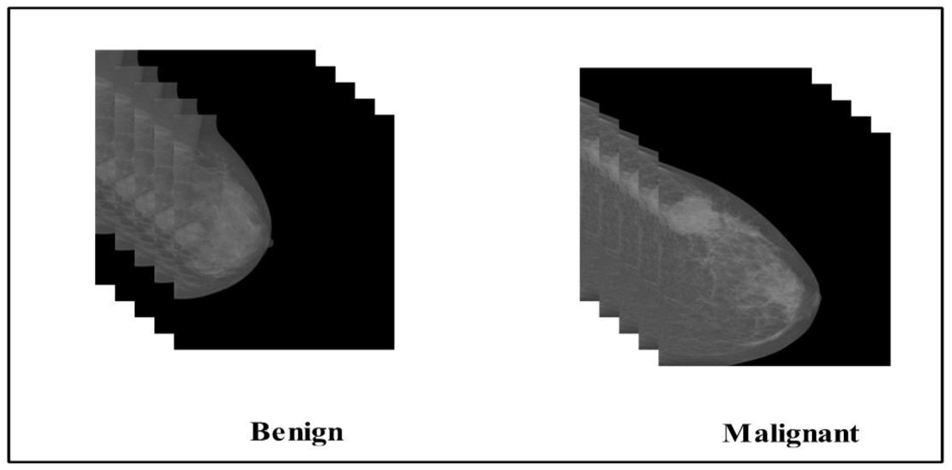 Diagnostics 12 00557 g003
