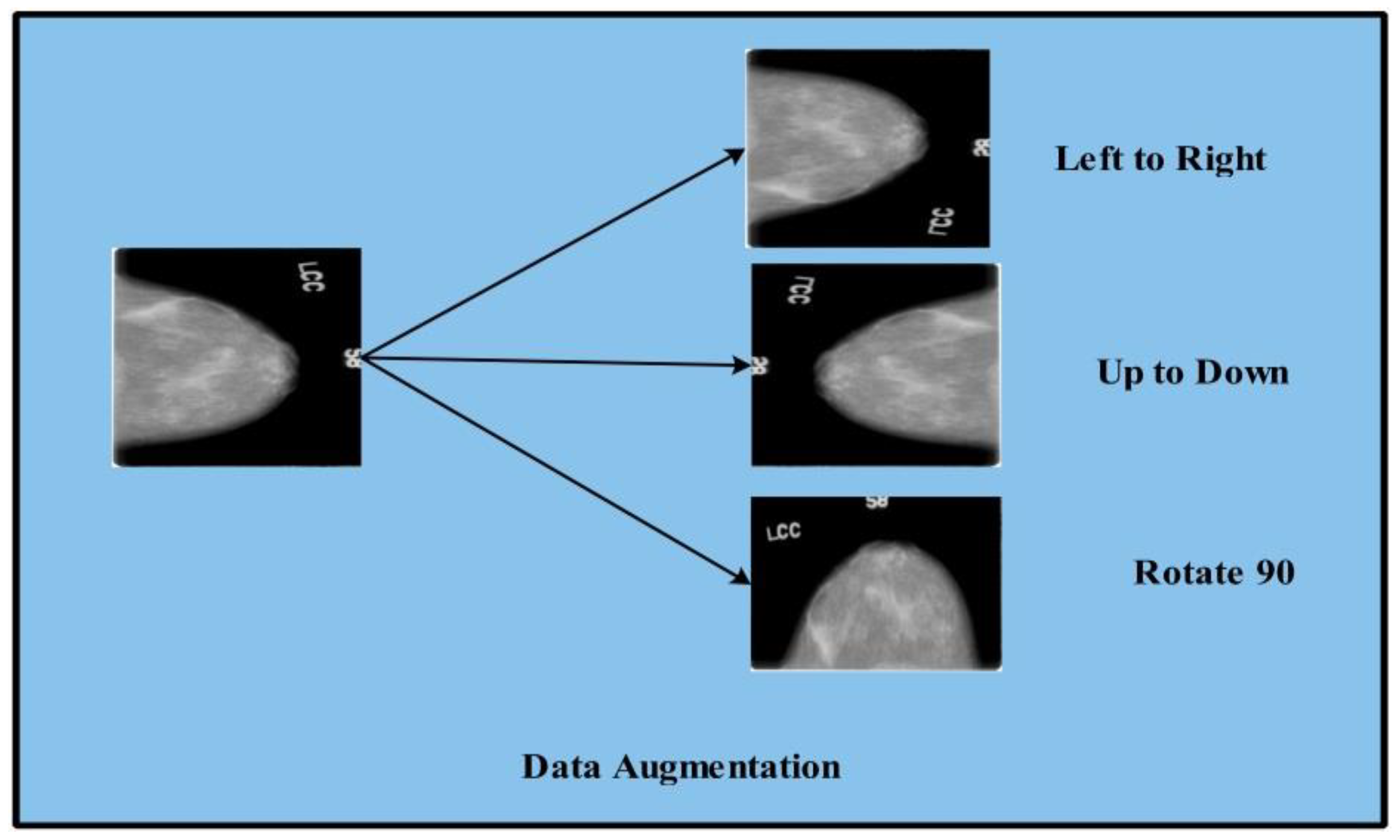 Diagnostics 12 00557 g005