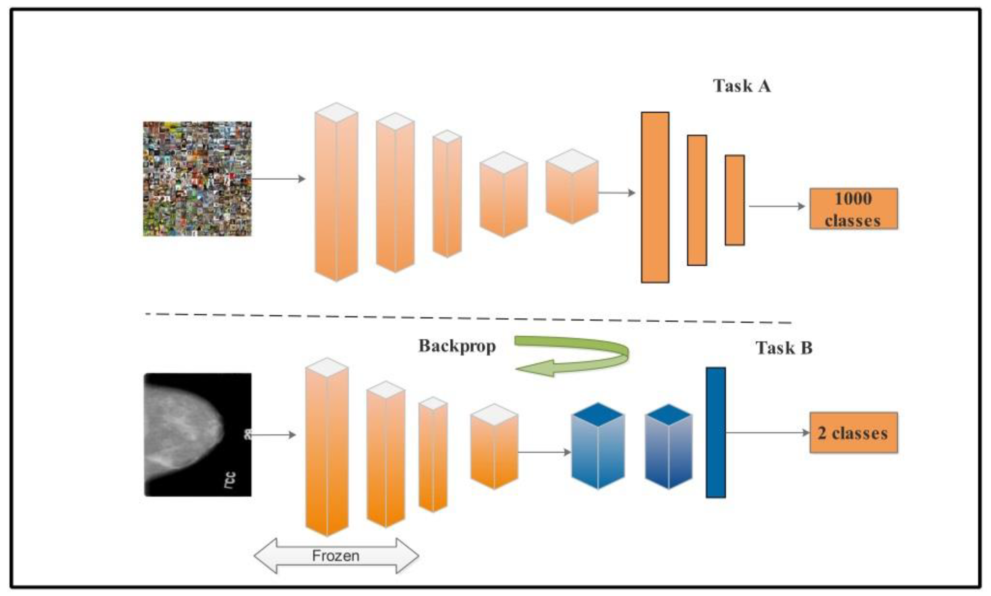Diagnostics 12 00557 g006