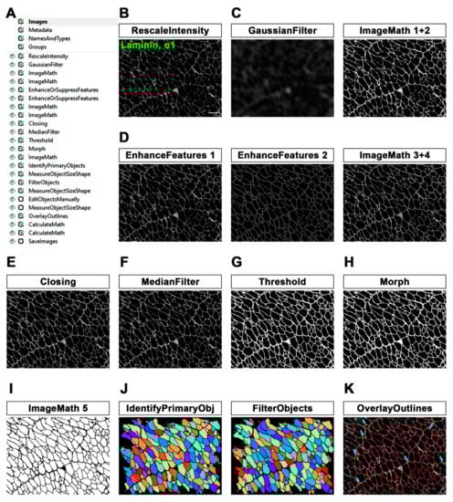 Diagnostics 12 00561 g001 550