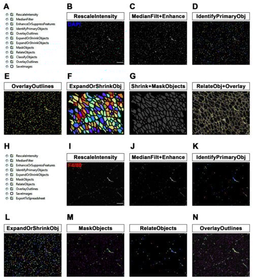 Diagnostics 12 00561 g002 550