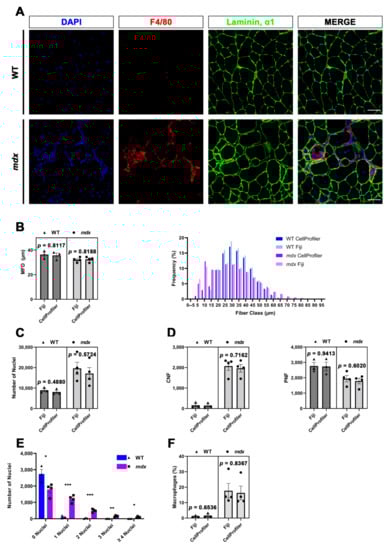 Diagnostics 12 00561 g003 550