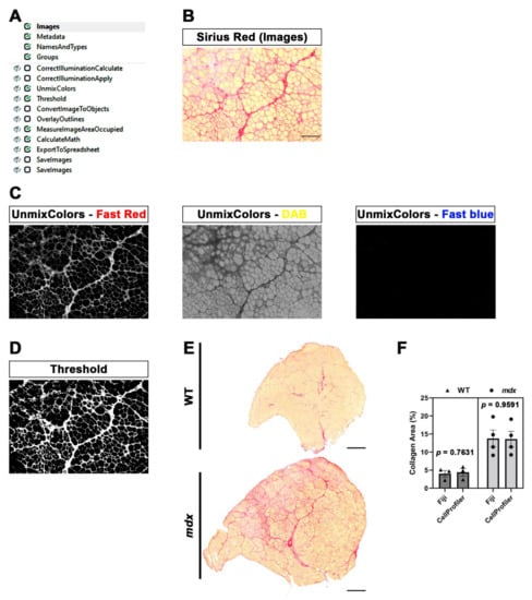 Diagnostics 12 00561 g004 550