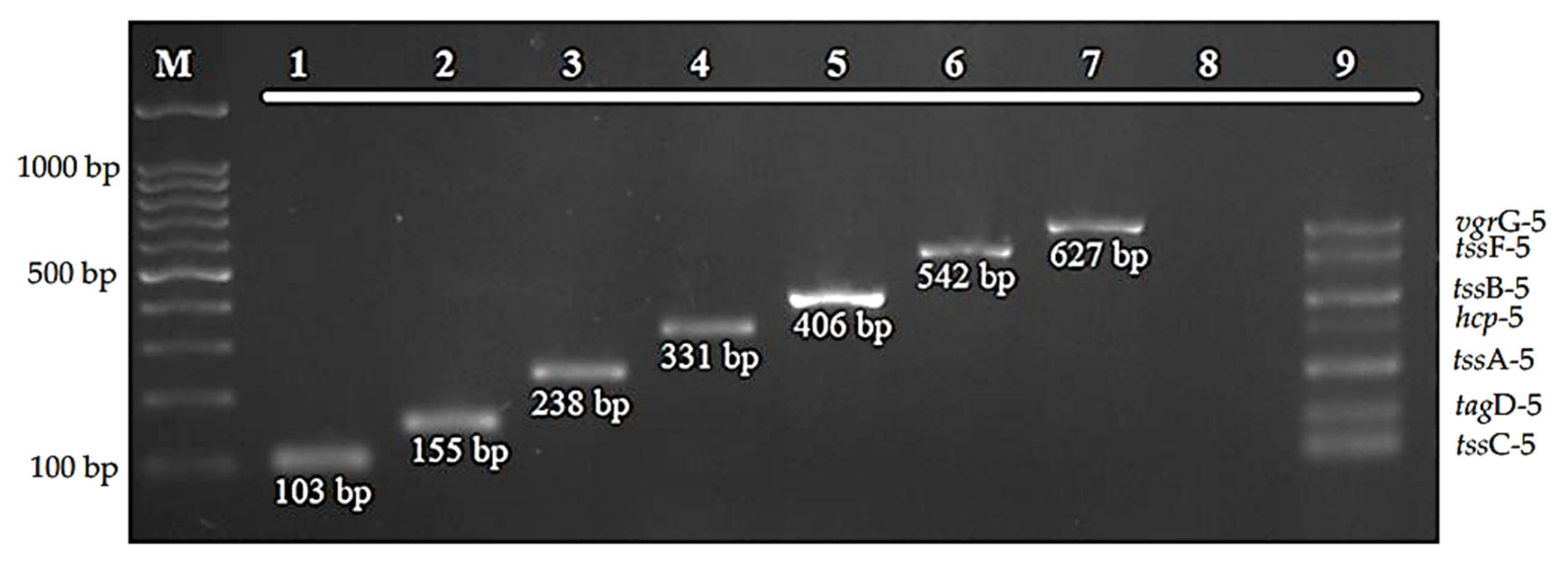 Diagnostics 12 00562 g001