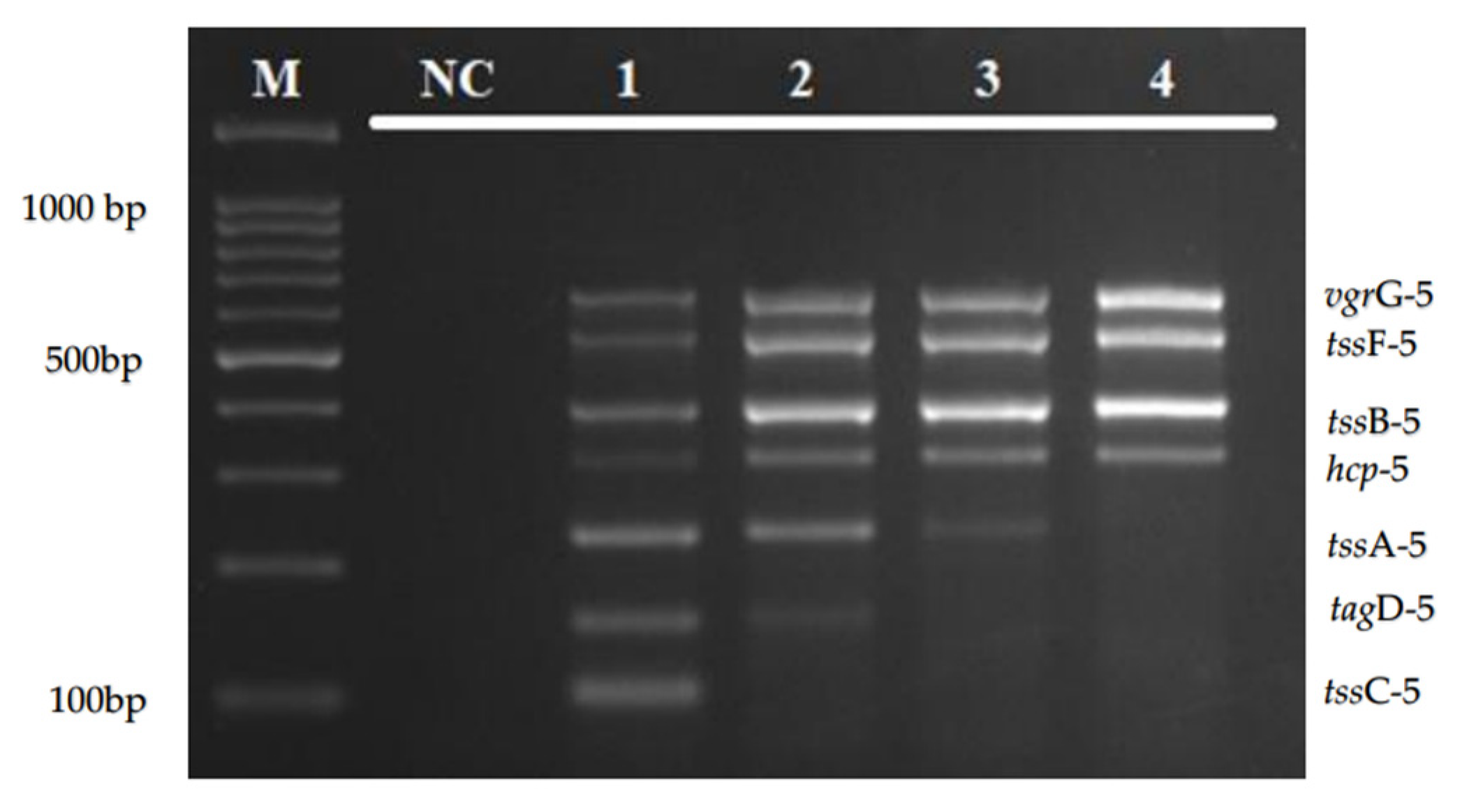 Diagnostics 12 00562 g002