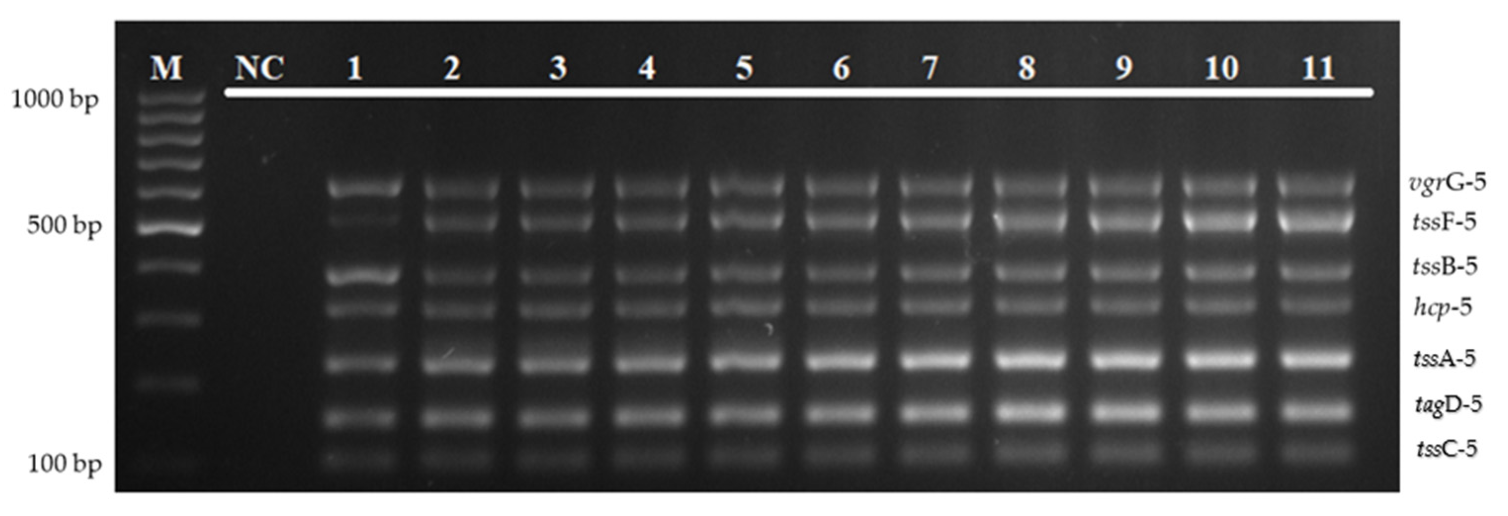 Diagnostics 12 00562 g003