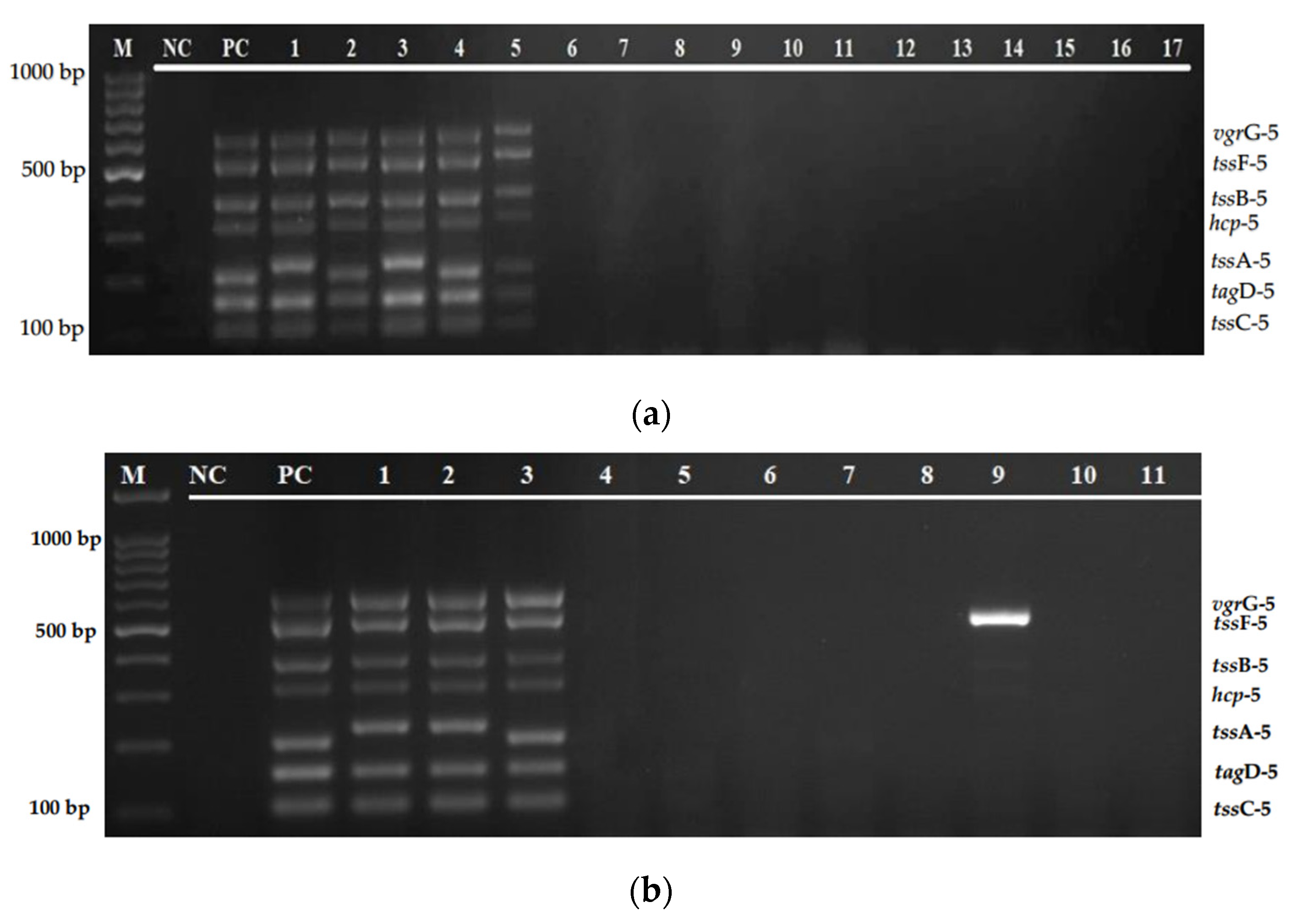 Diagnostics 12 00562 g004