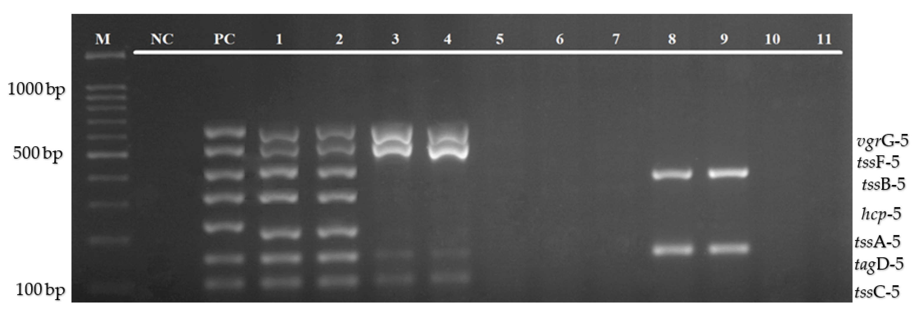 Diagnostics 12 00562 g007
