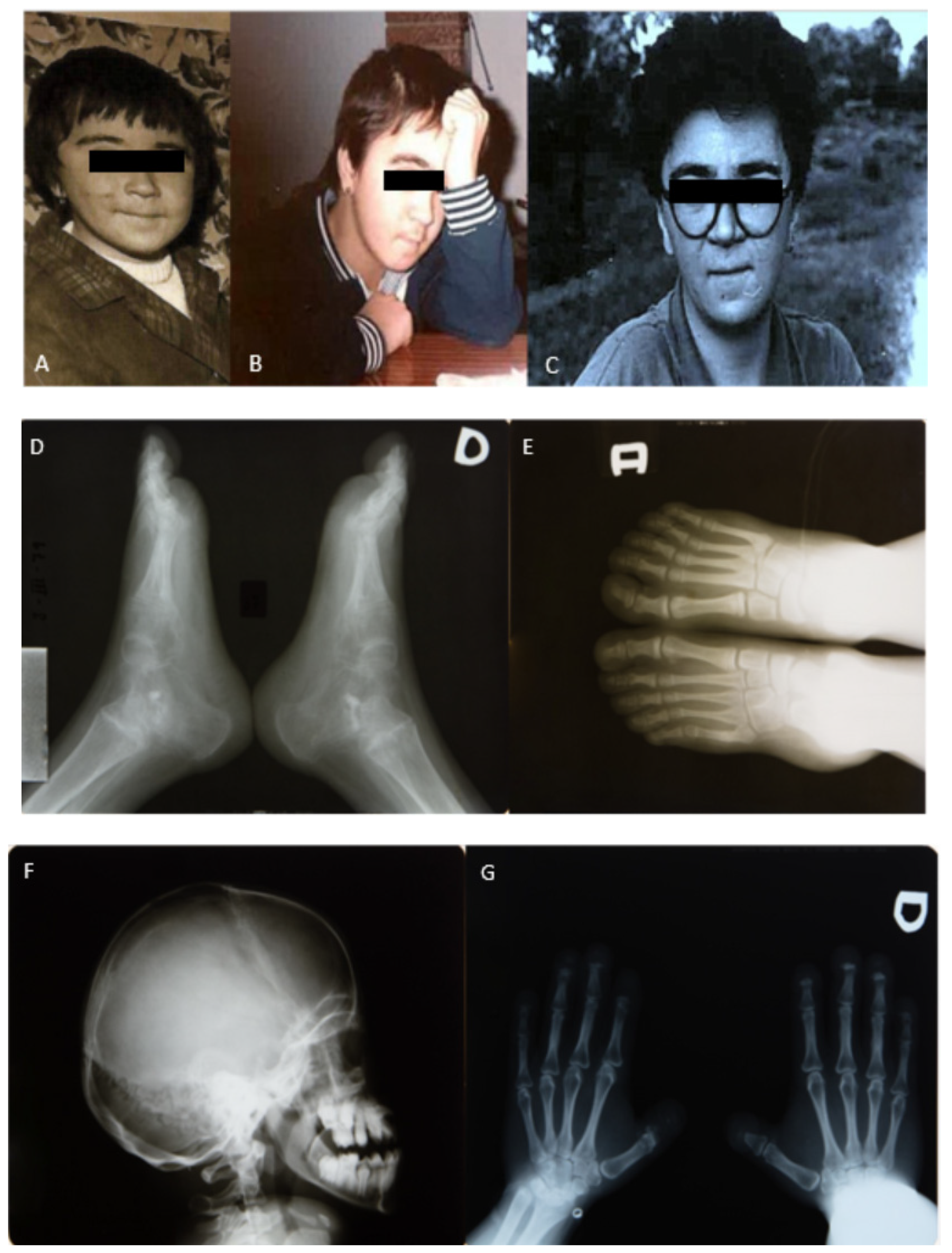 Diagnostics 12 00566 g002
