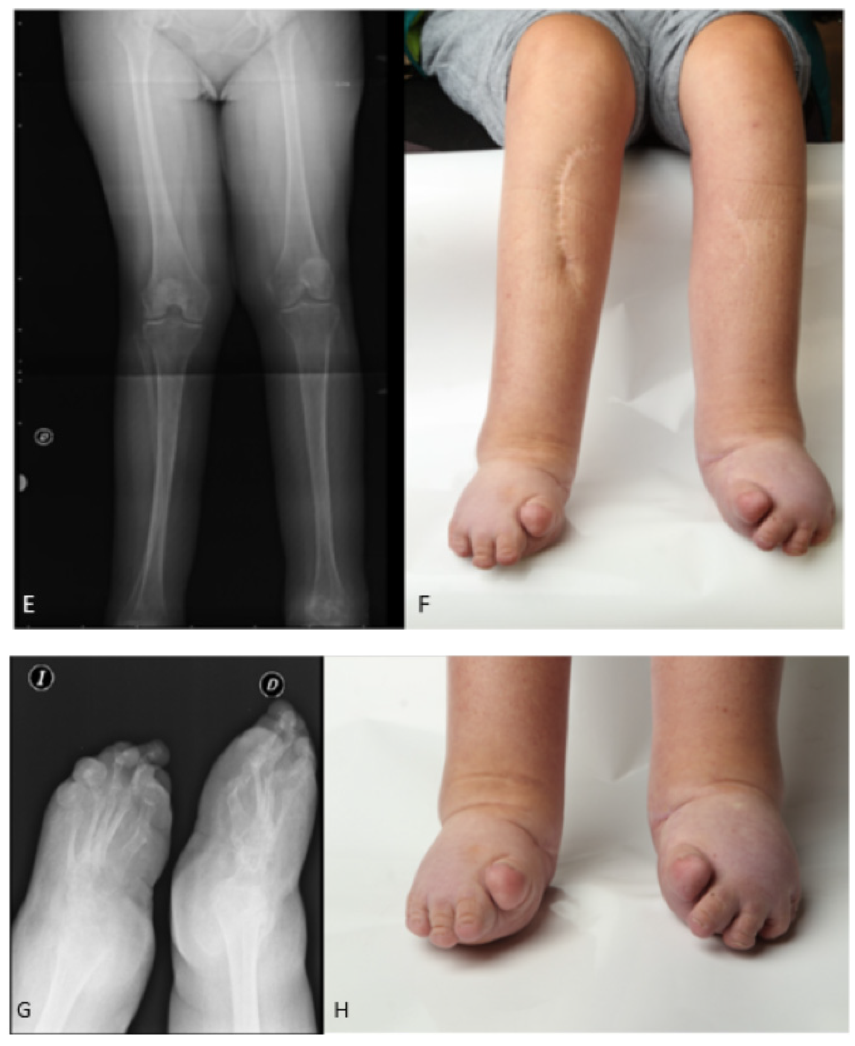 Diagnostics 12 00566 g003b