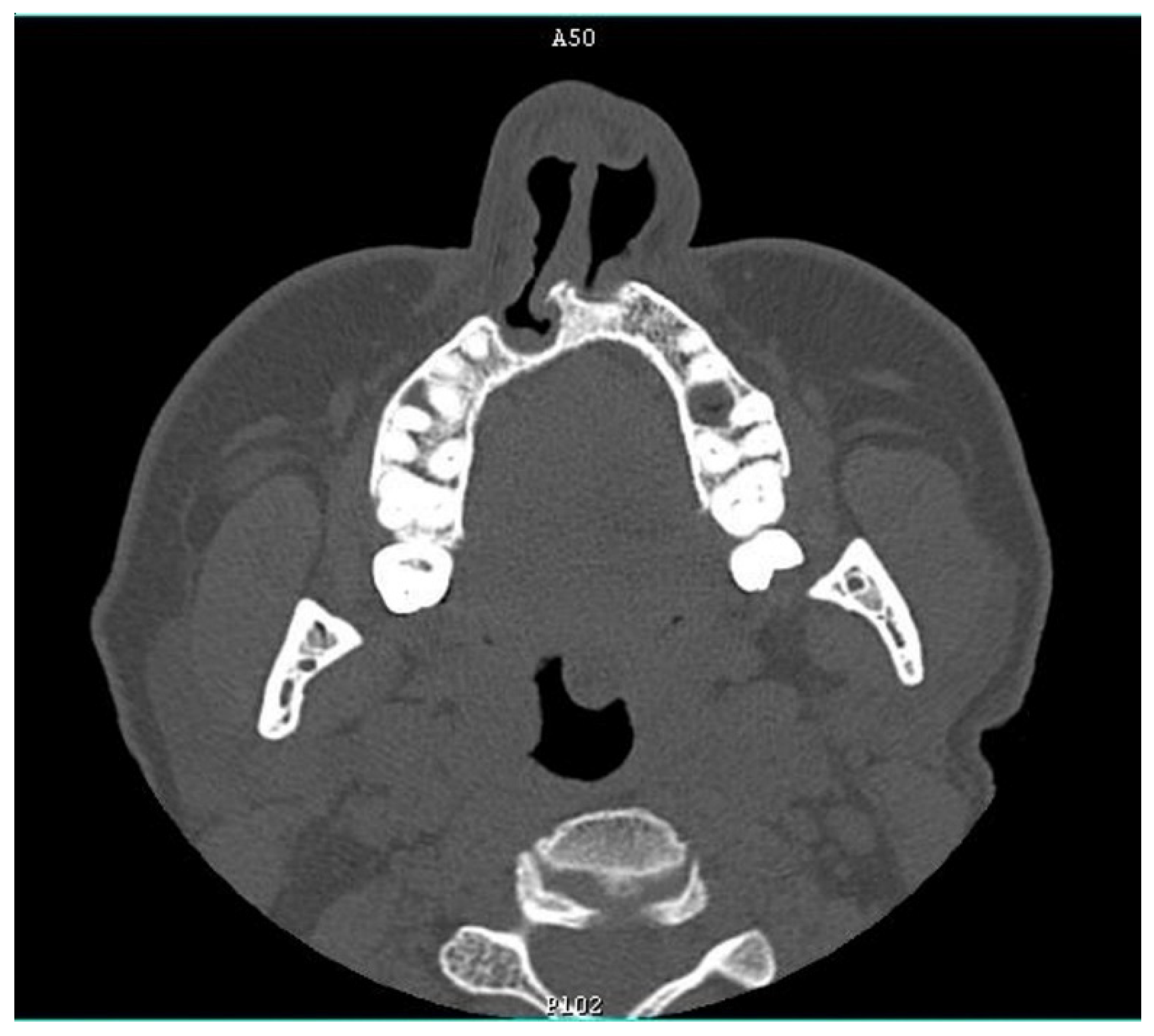 Diagnostics 12 00569 g004