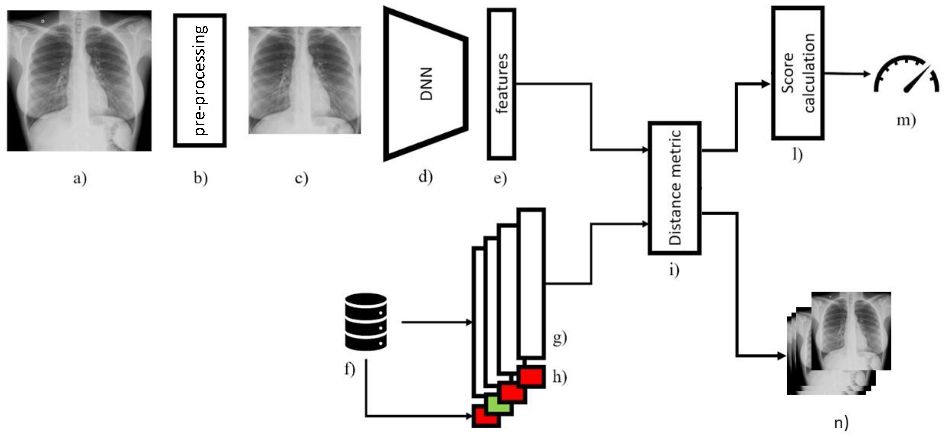 Diagnostics 12 00570 g001