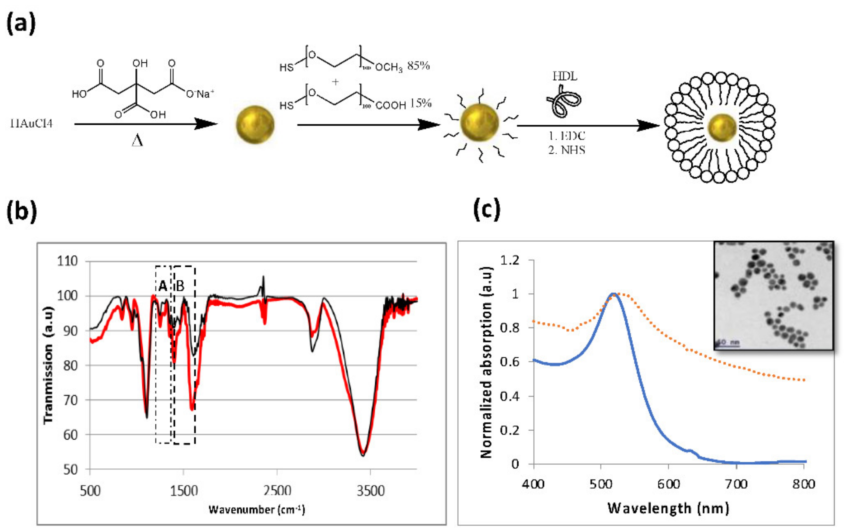 Diagnostics 12 00577 g001