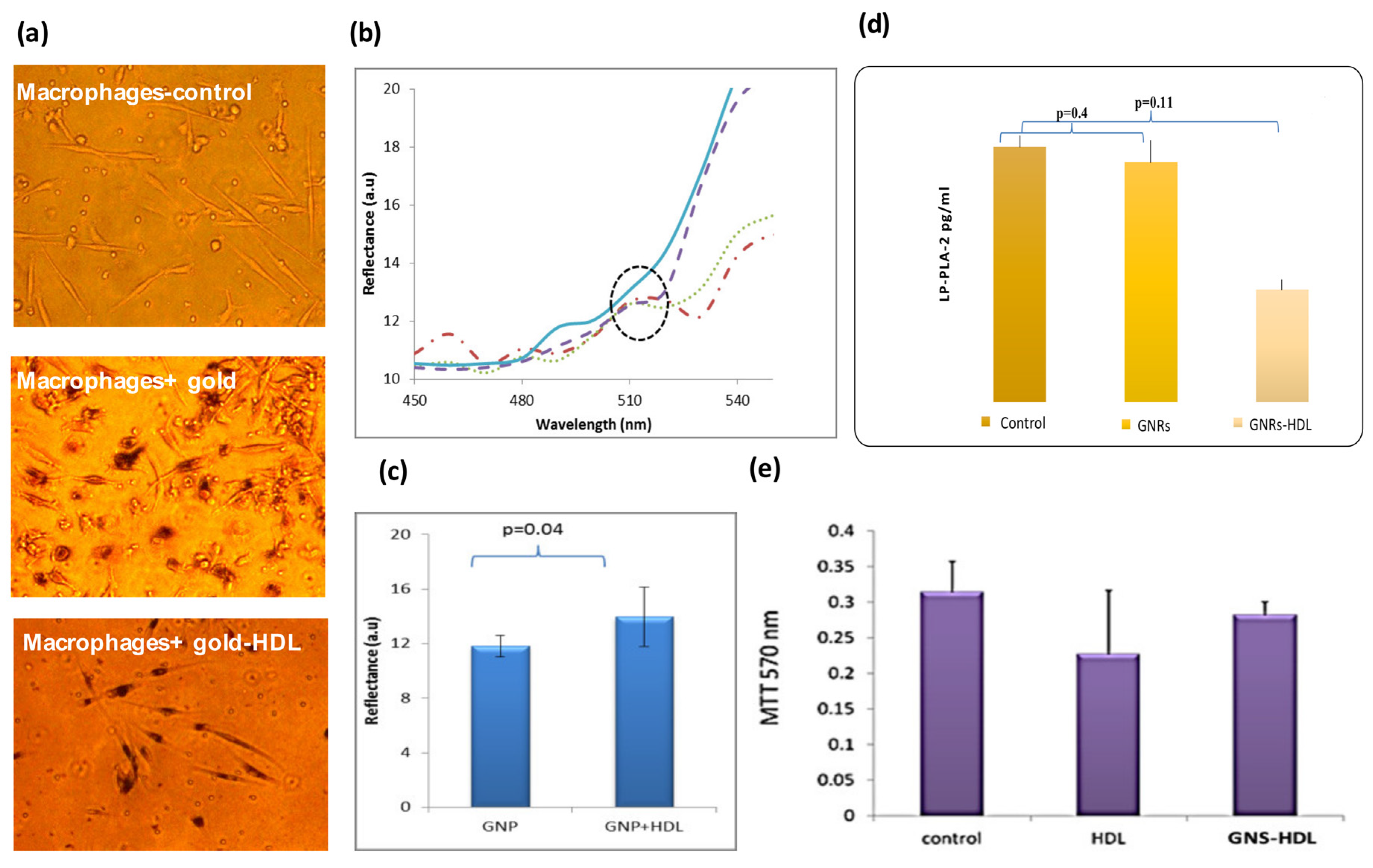 Diagnostics 12 00577 g002