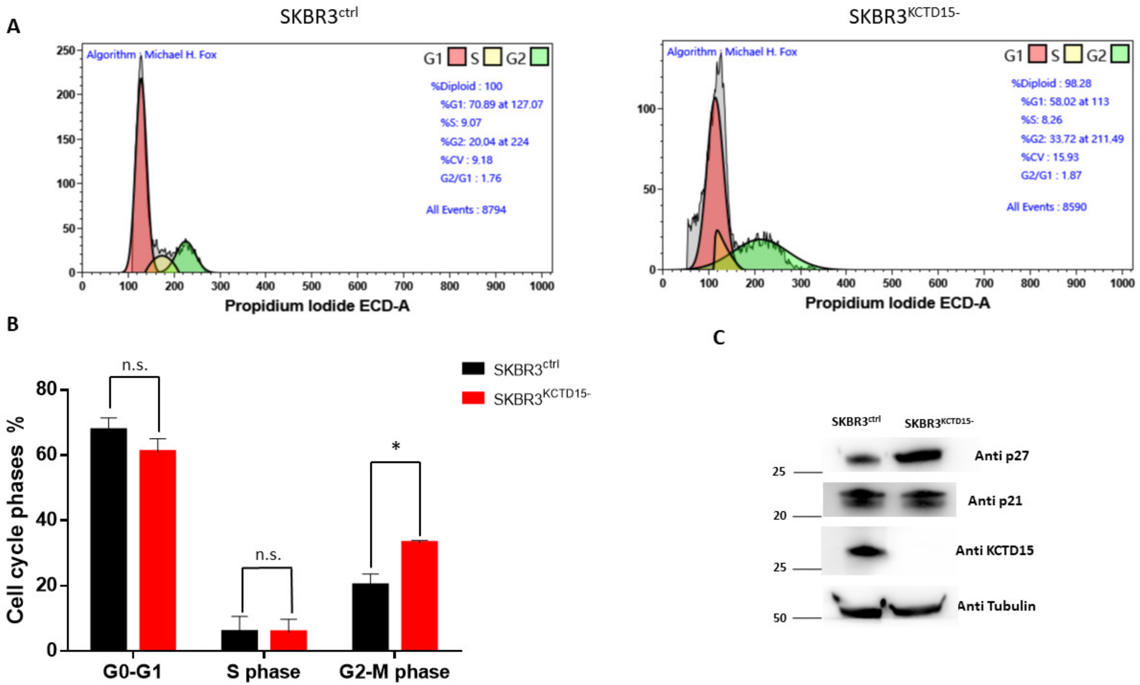 Diagnostics 12 00591 g005