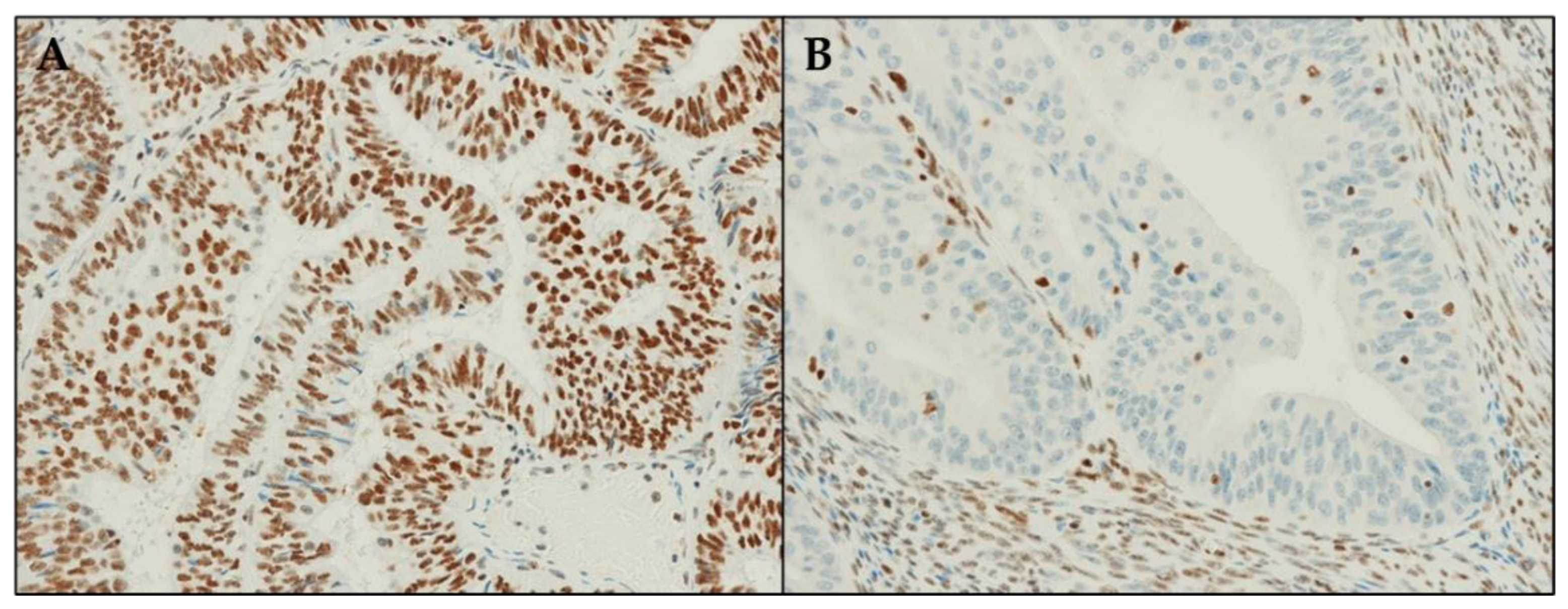 Diagnostics 12 00592 g001