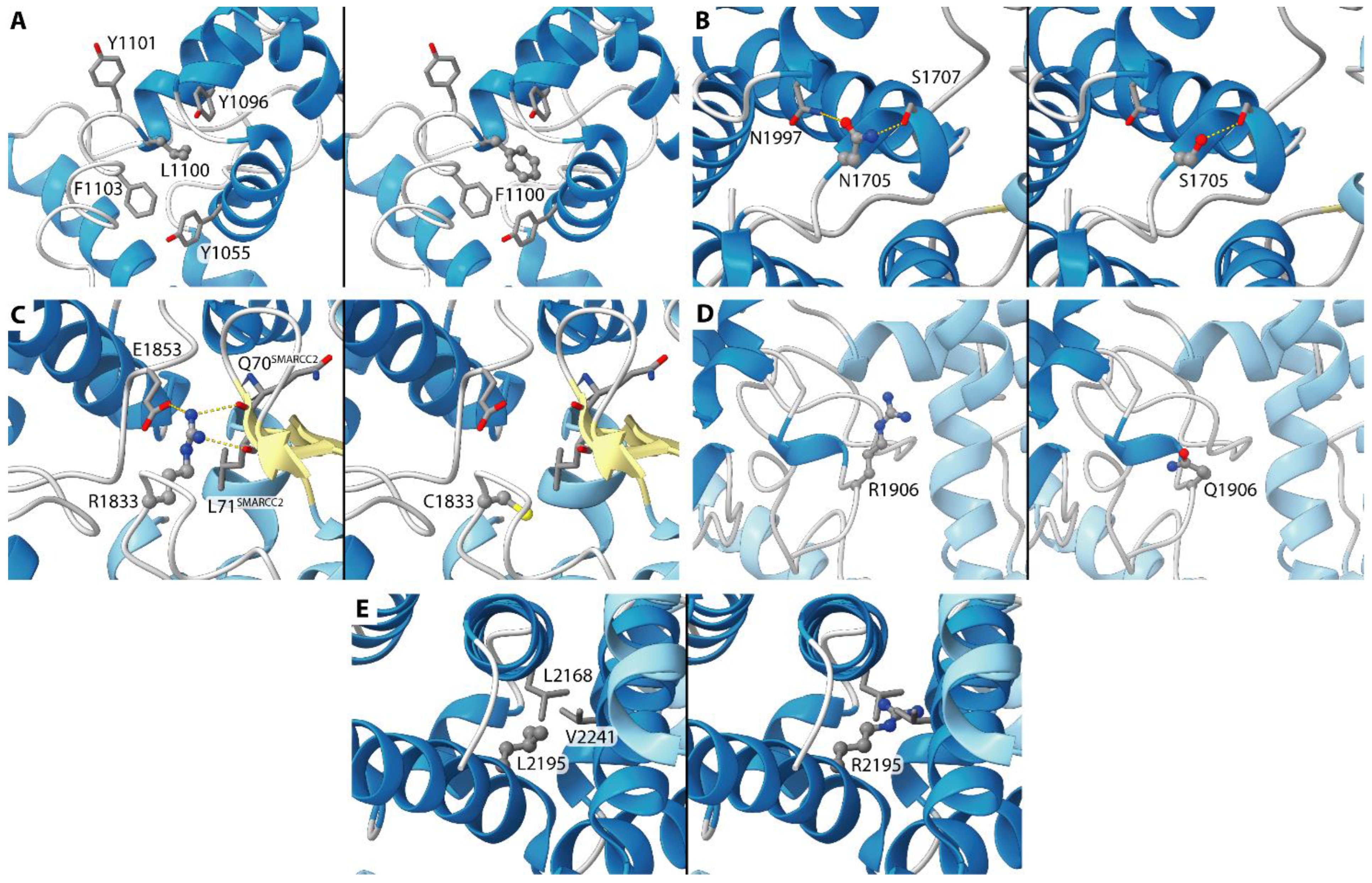 Diagnostics 12 00592 g004