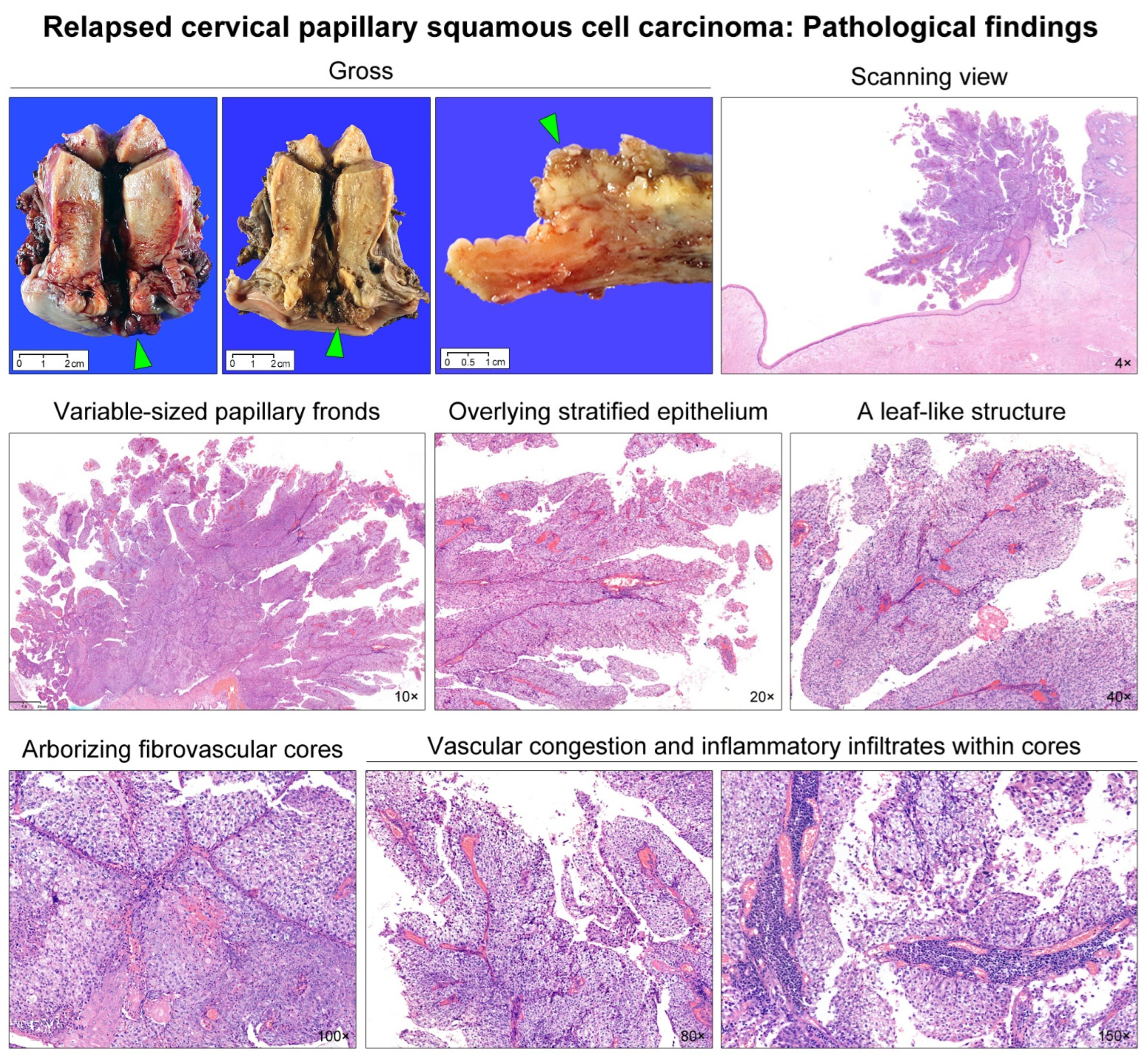 Diagnostics 12 00599 g002 Diagnostics 12 00599 g002