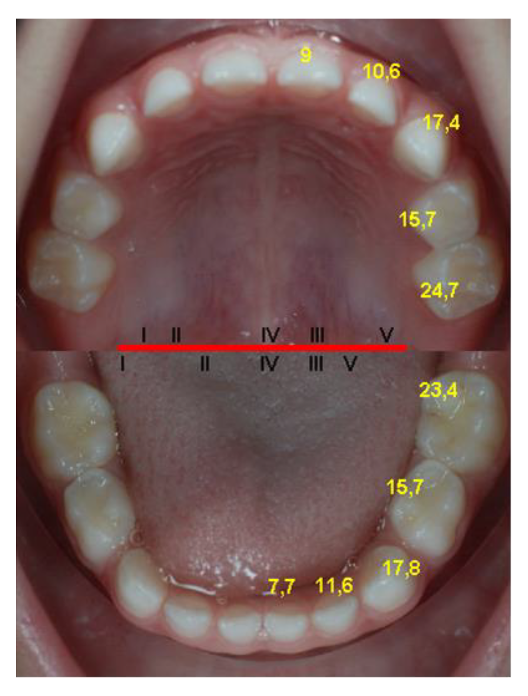 Diagnostics 12 00606 g004