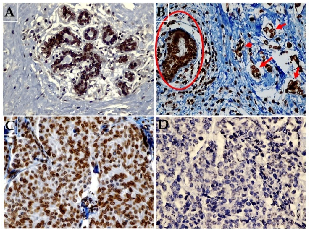 Diagnostics 12 00609 g001