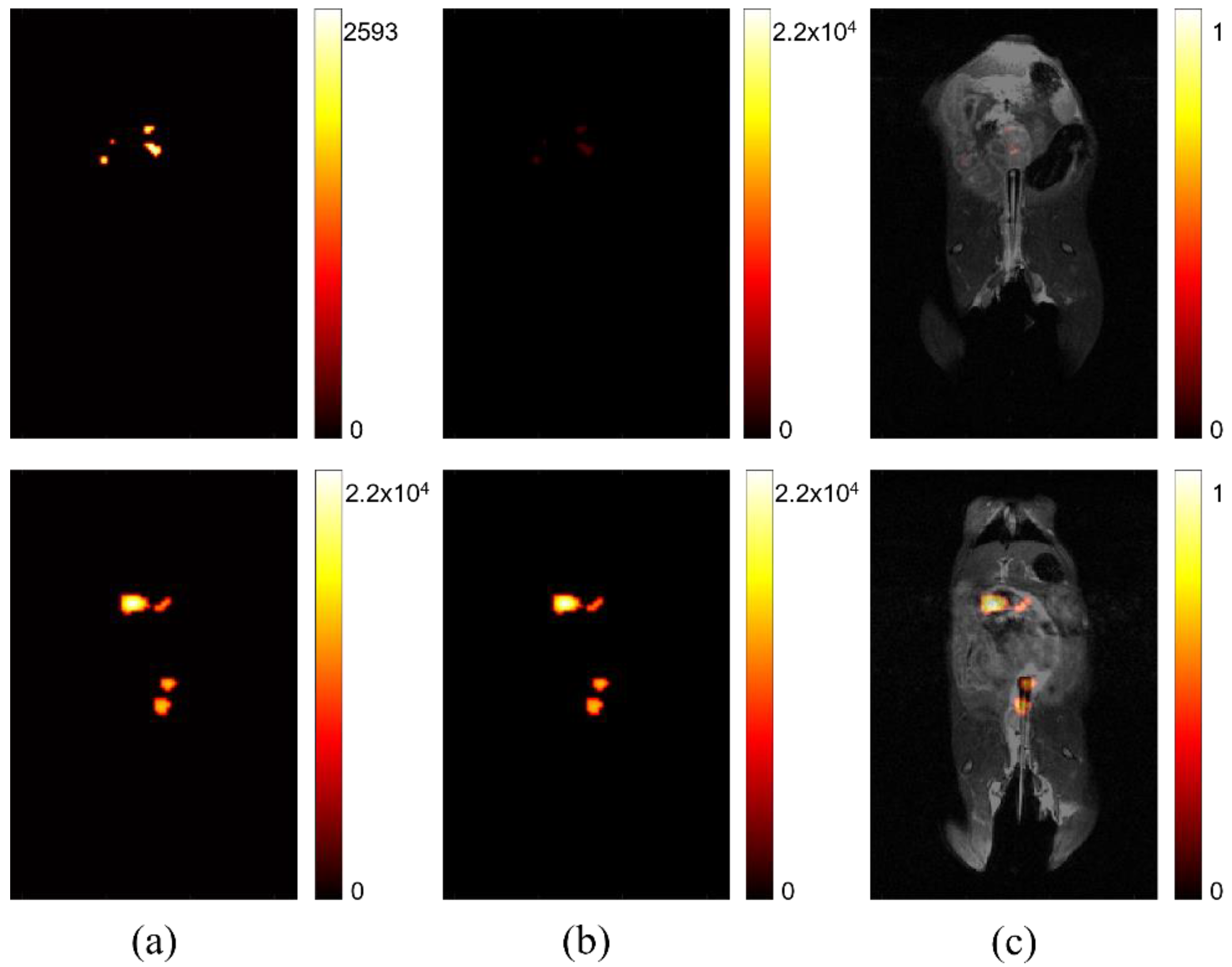 Diagnostics 12 00610 g002