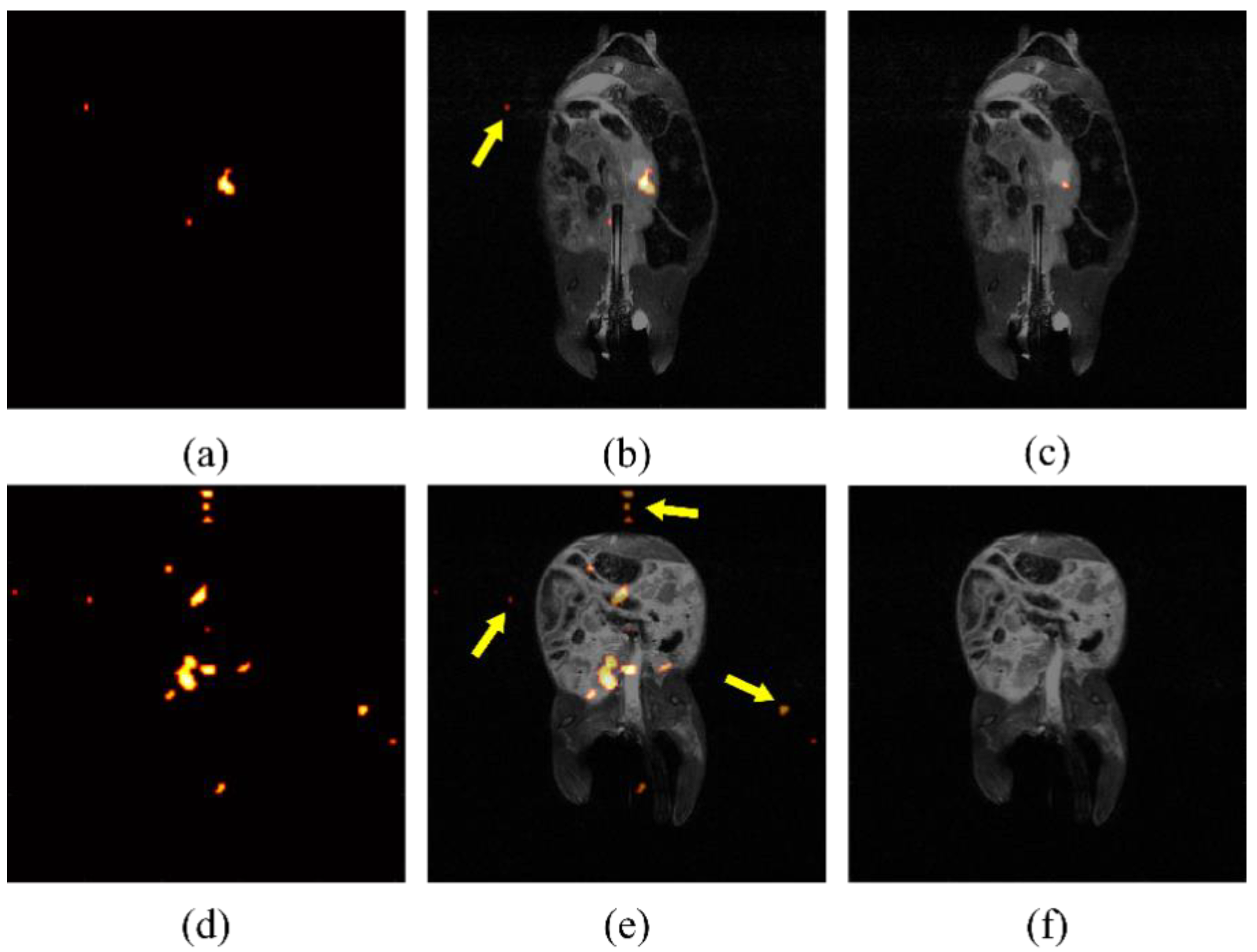Diagnostics 12 00610 g003