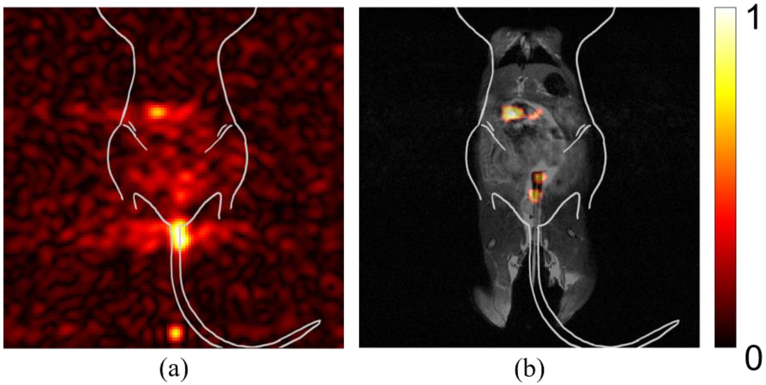 Diagnostics 12 00610 g005