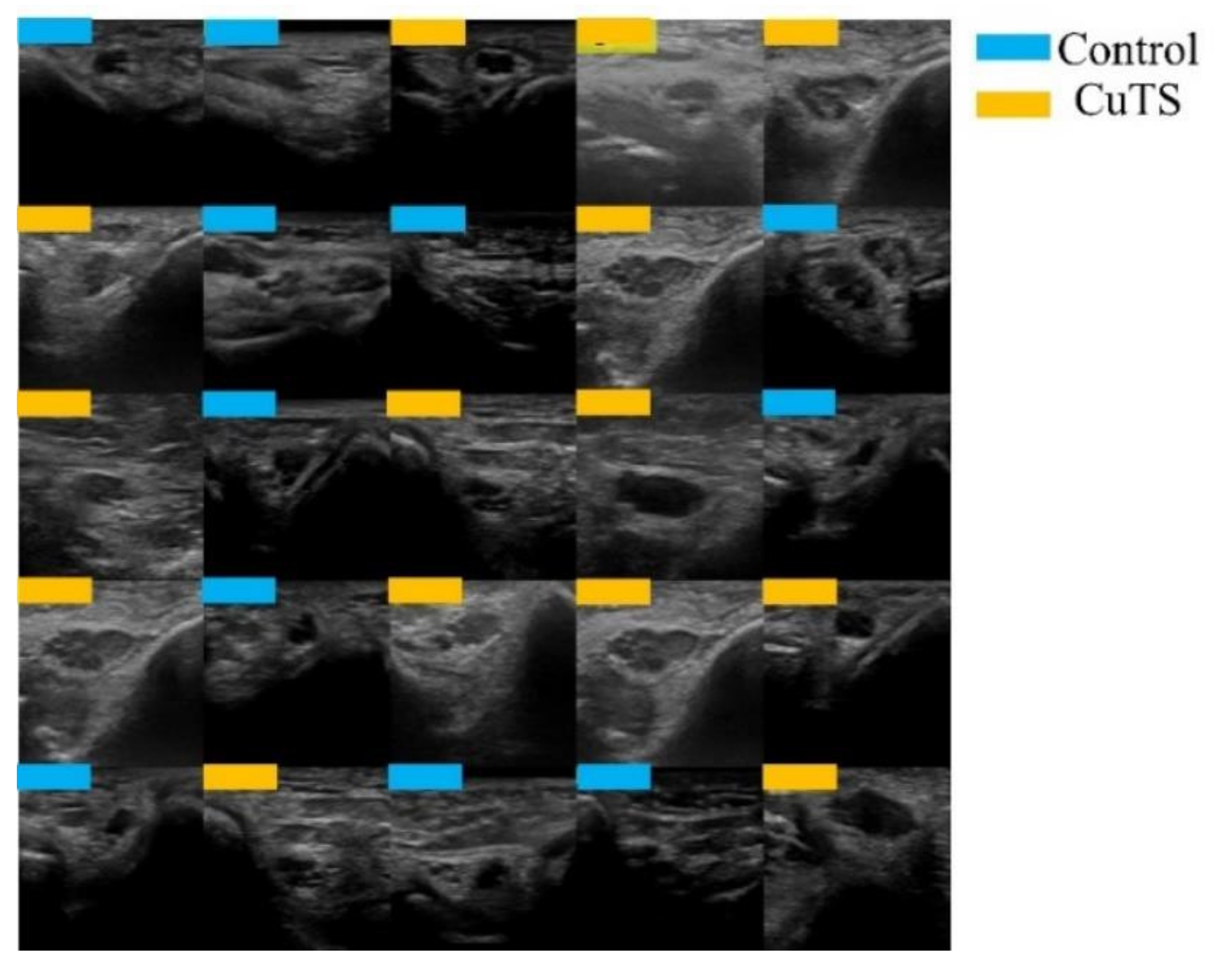 Diagnostics 12 00632 g003