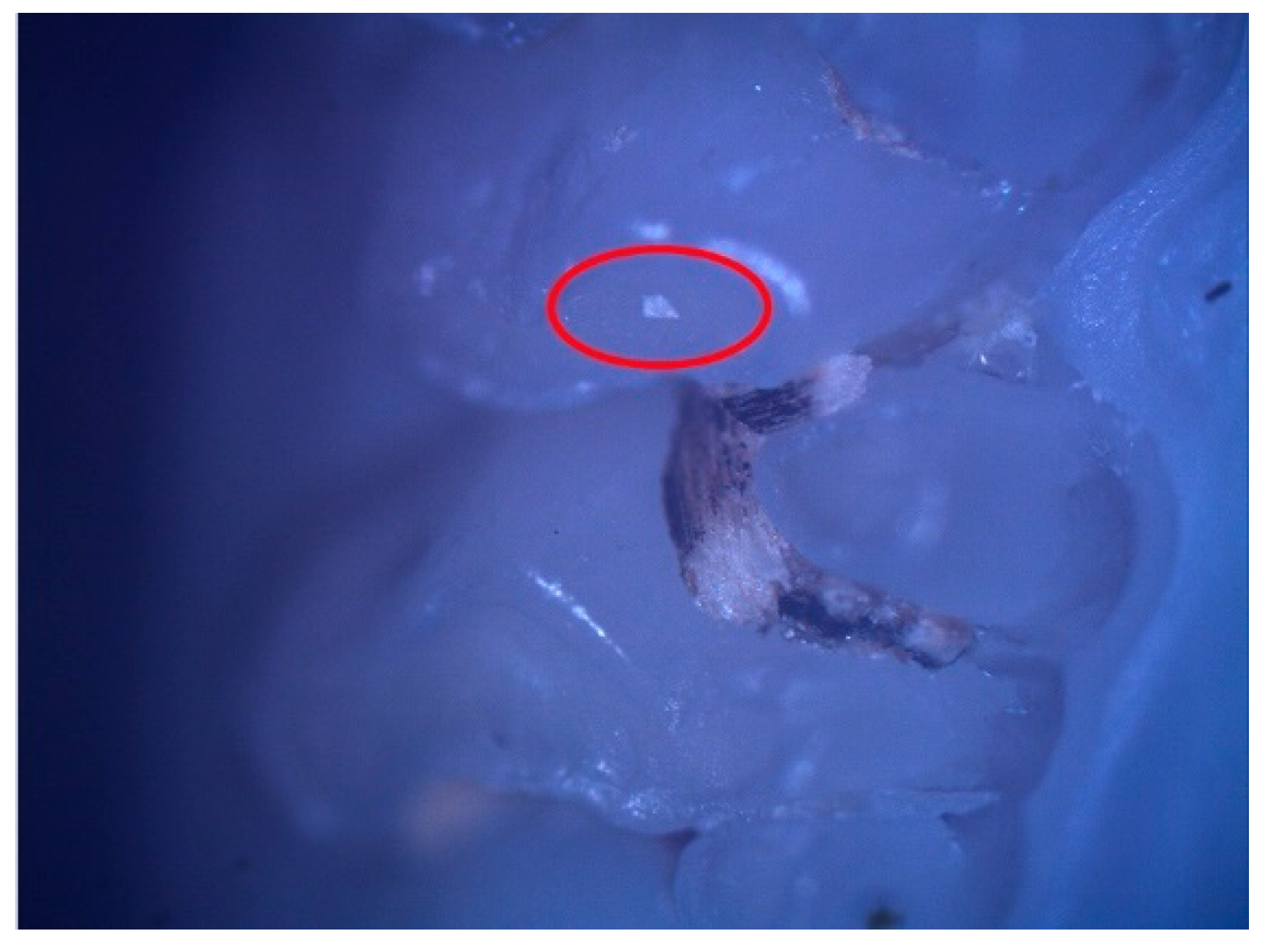 Diagnostics 12 00636 g002