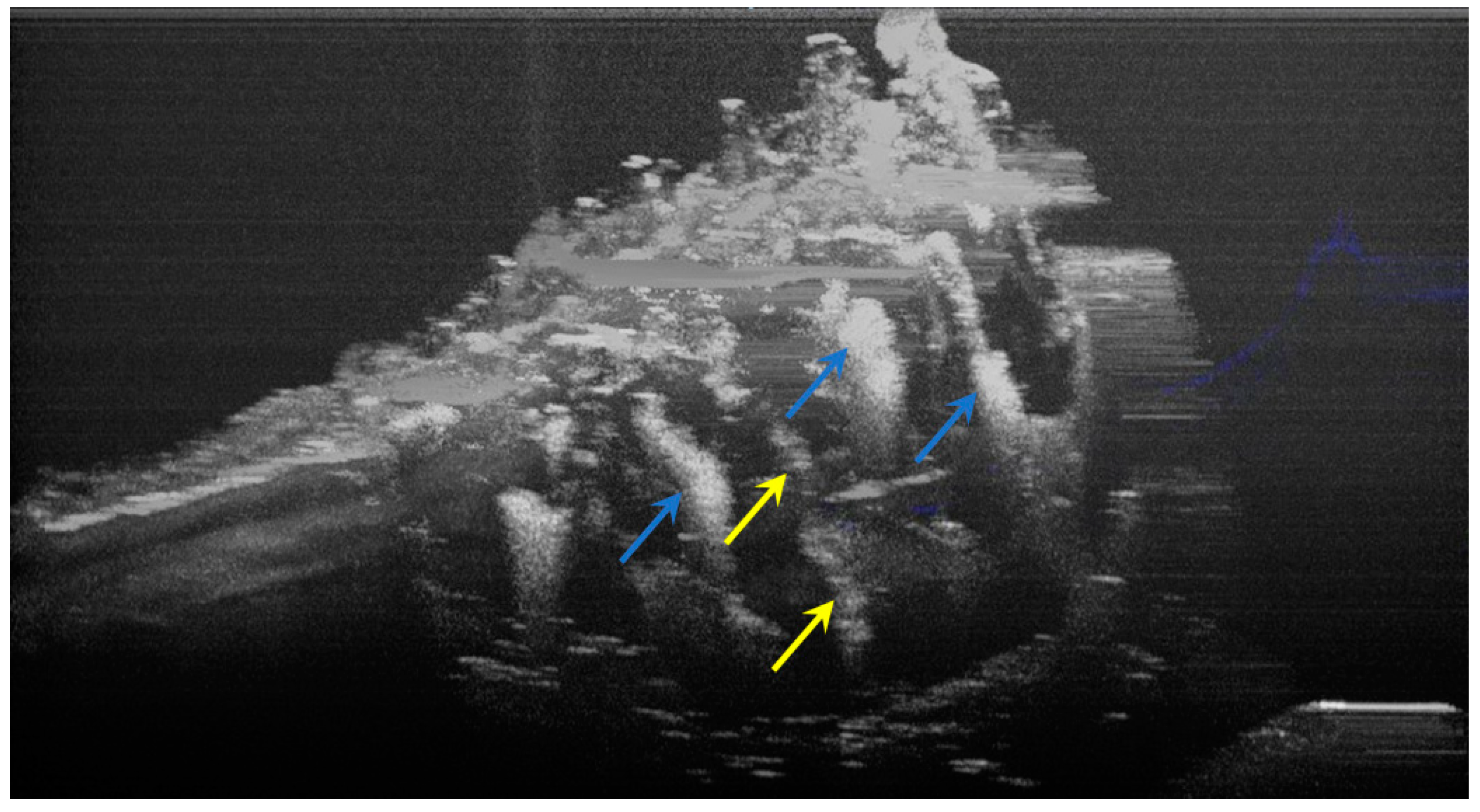 Diagnostics 12 00636 g006