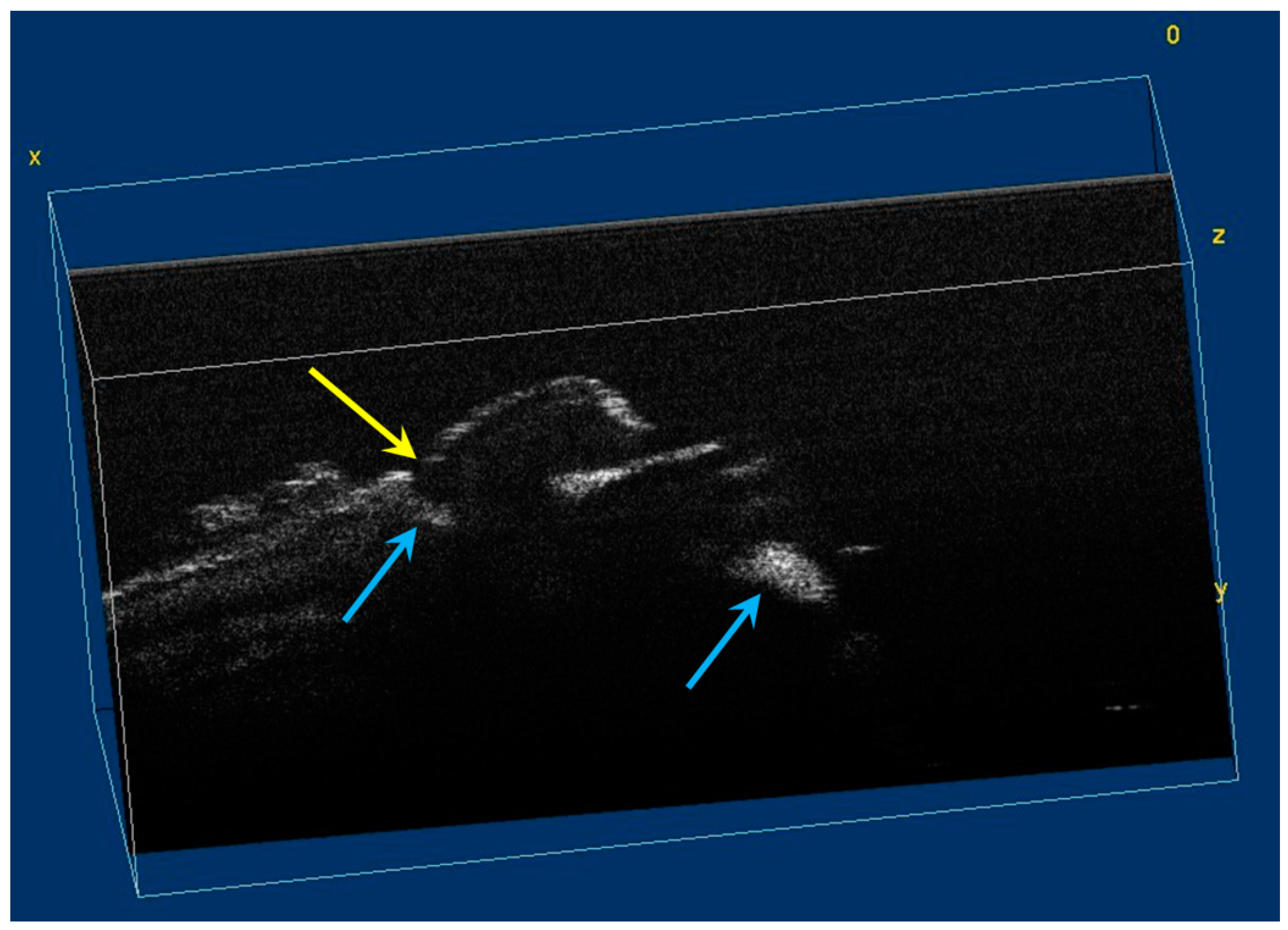 Diagnostics 12 00636 g007
