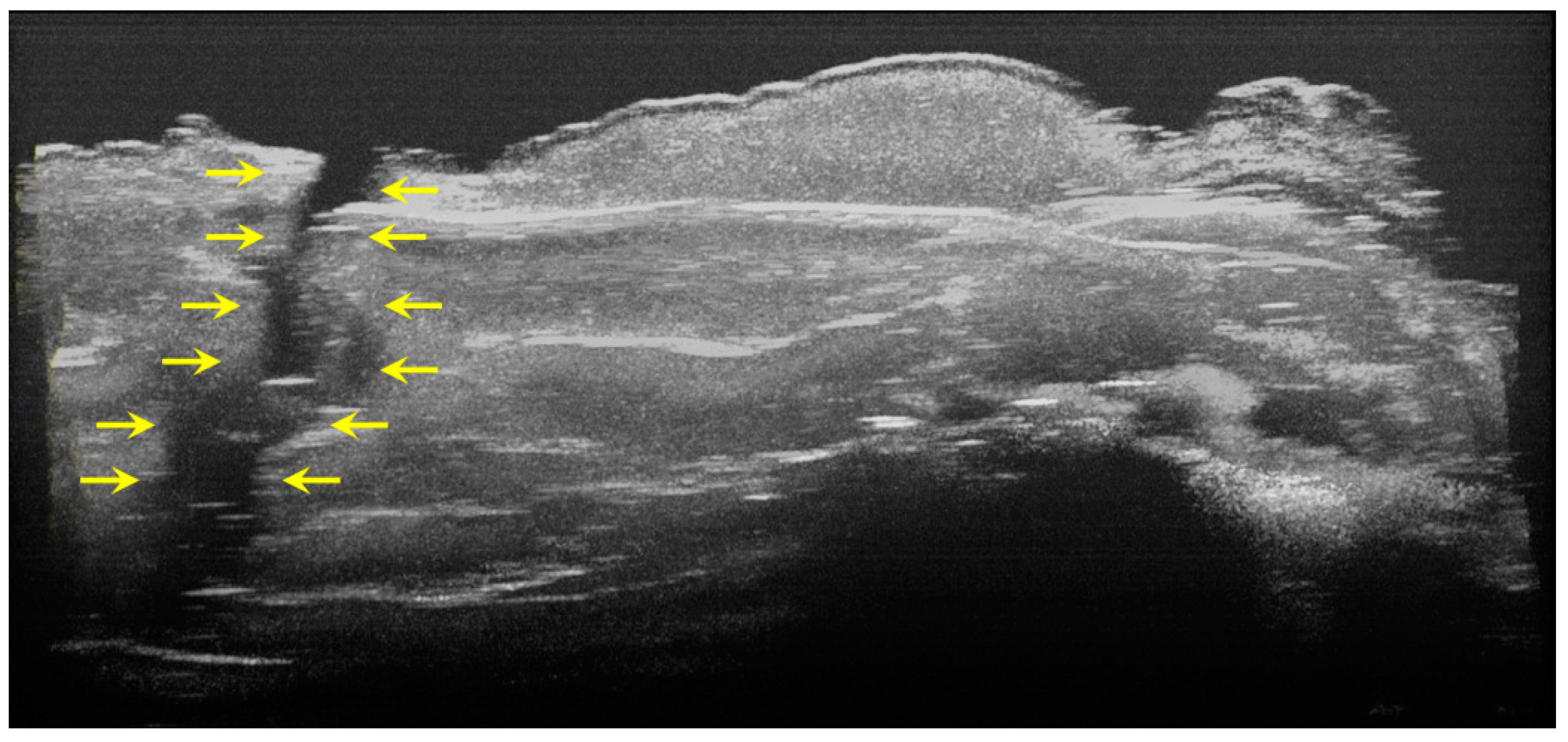 Diagnostics 12 00636 g008