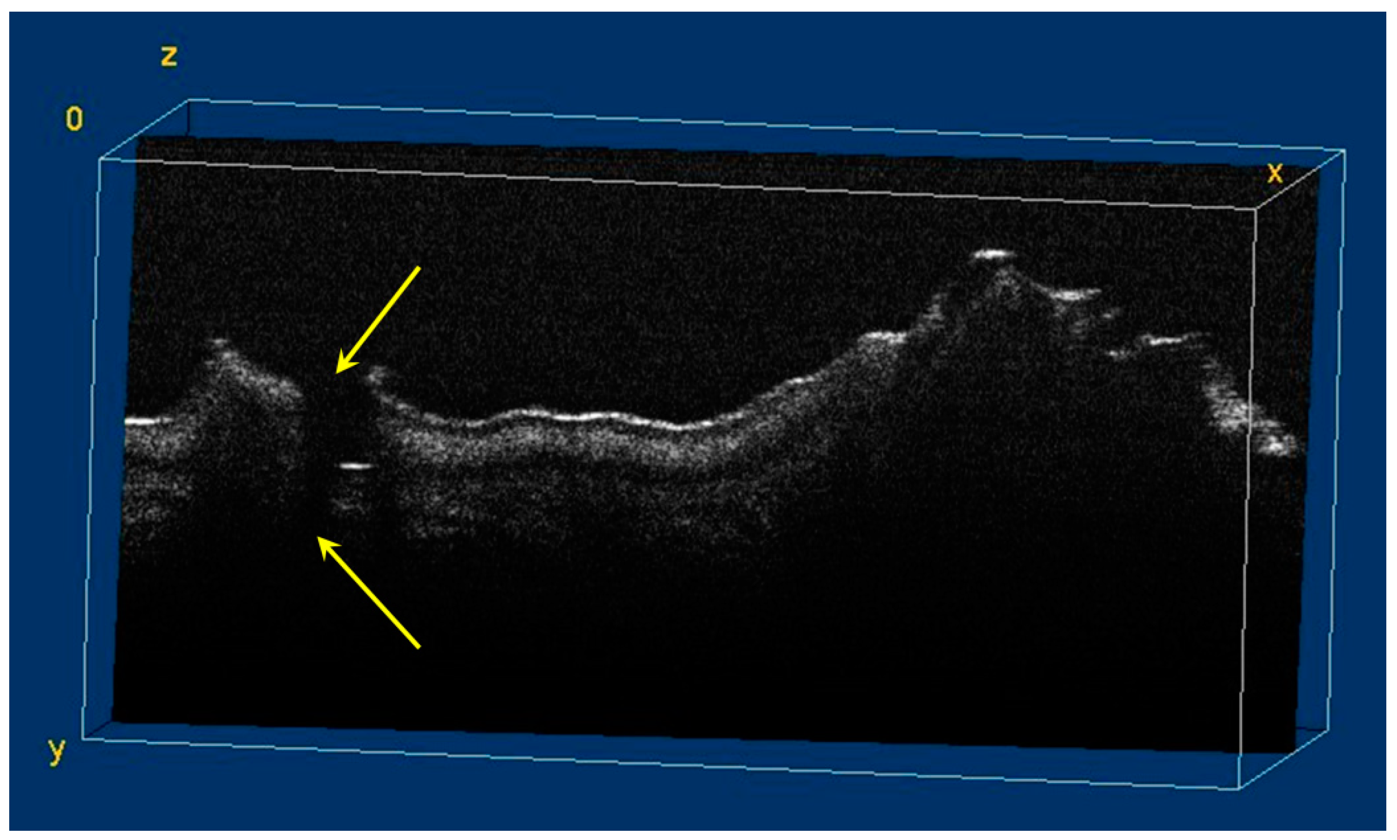Diagnostics 12 00636 g009