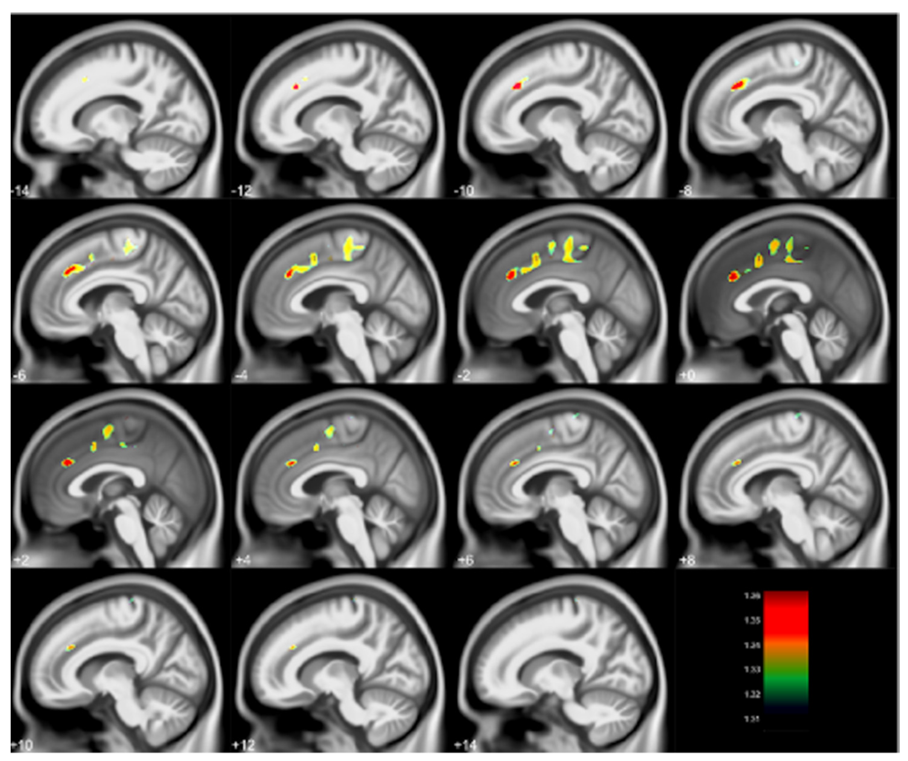 Diagnostics 12 00641 g002