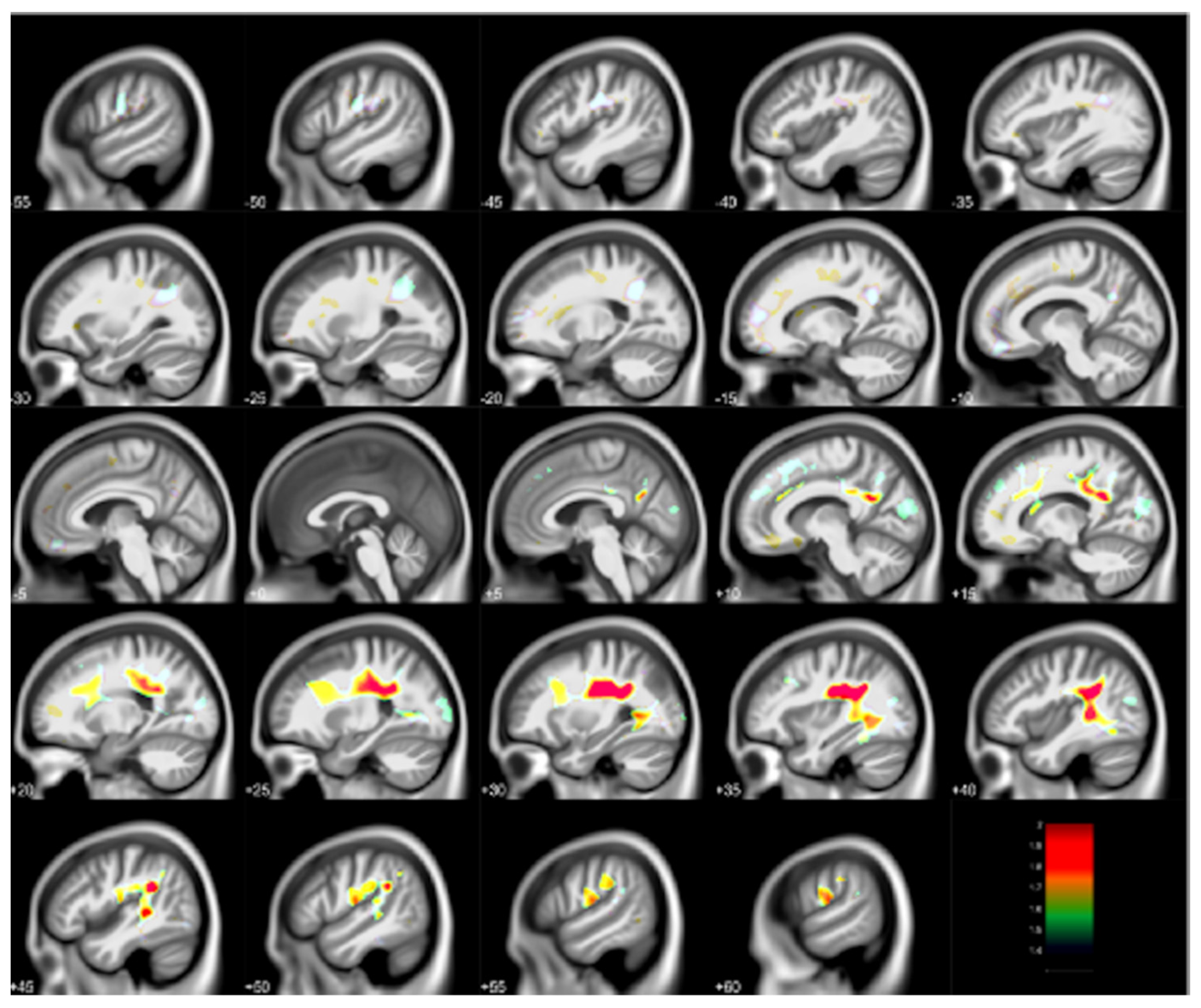 Diagnostics 12 00641 g003