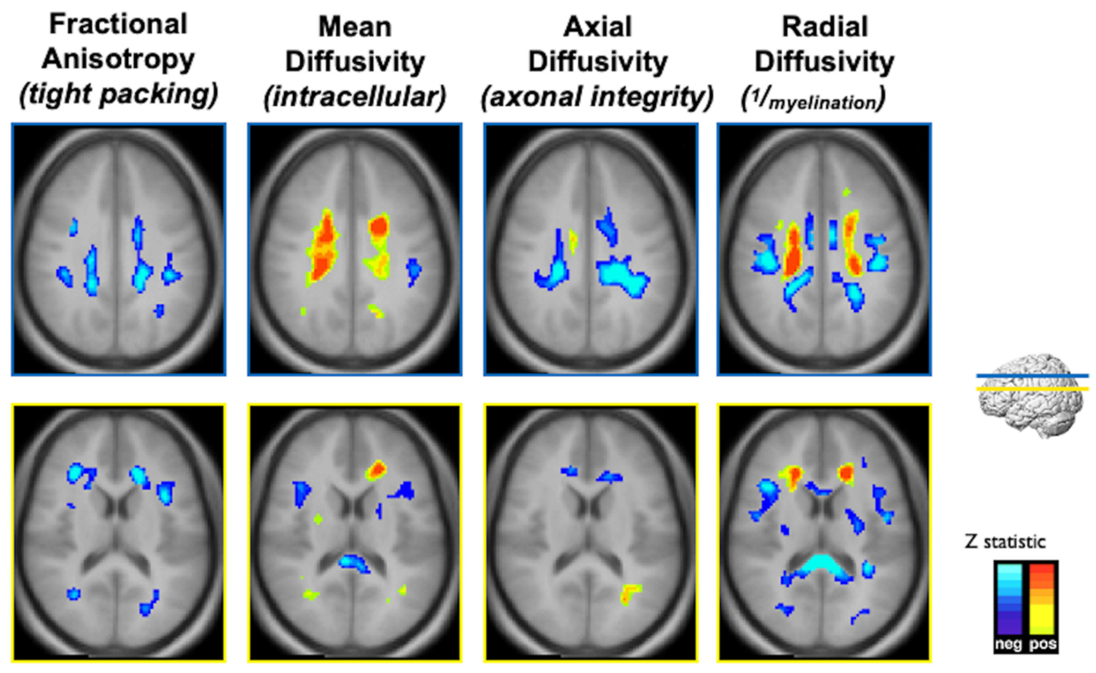 Diagnostics 12 00641 g004