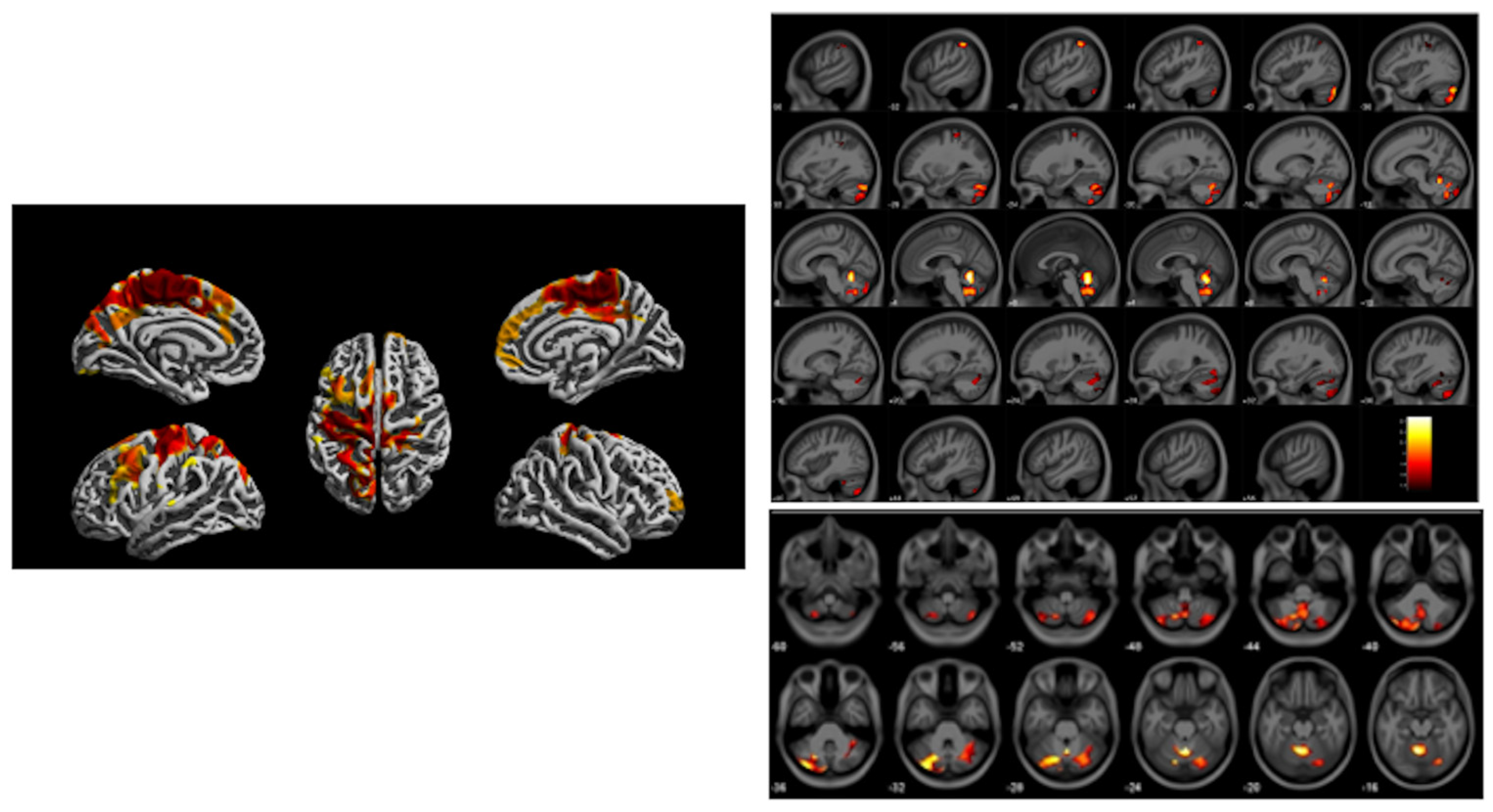 Diagnostics 12 00641 g006