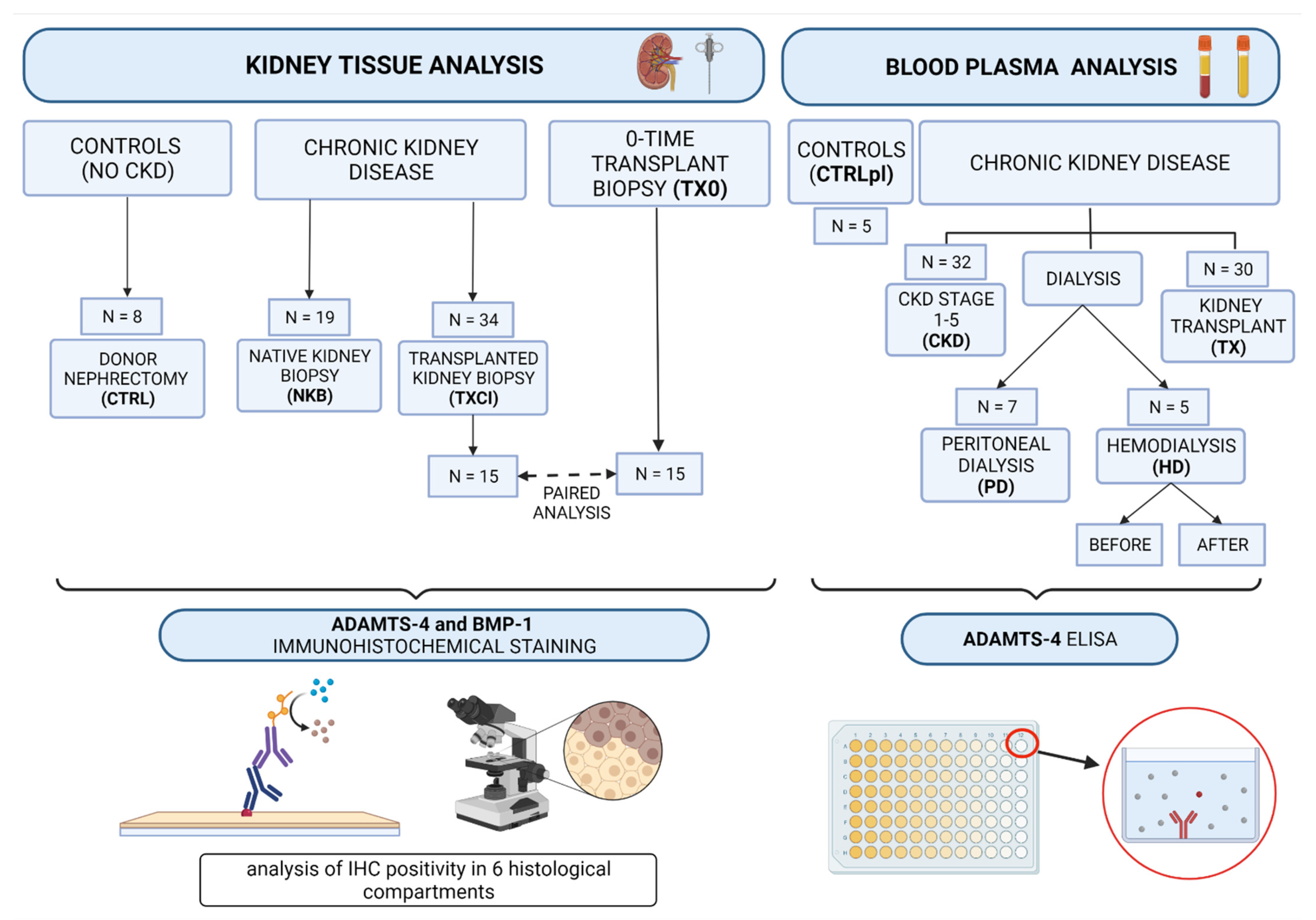 Diagnostics 12 00648 g001