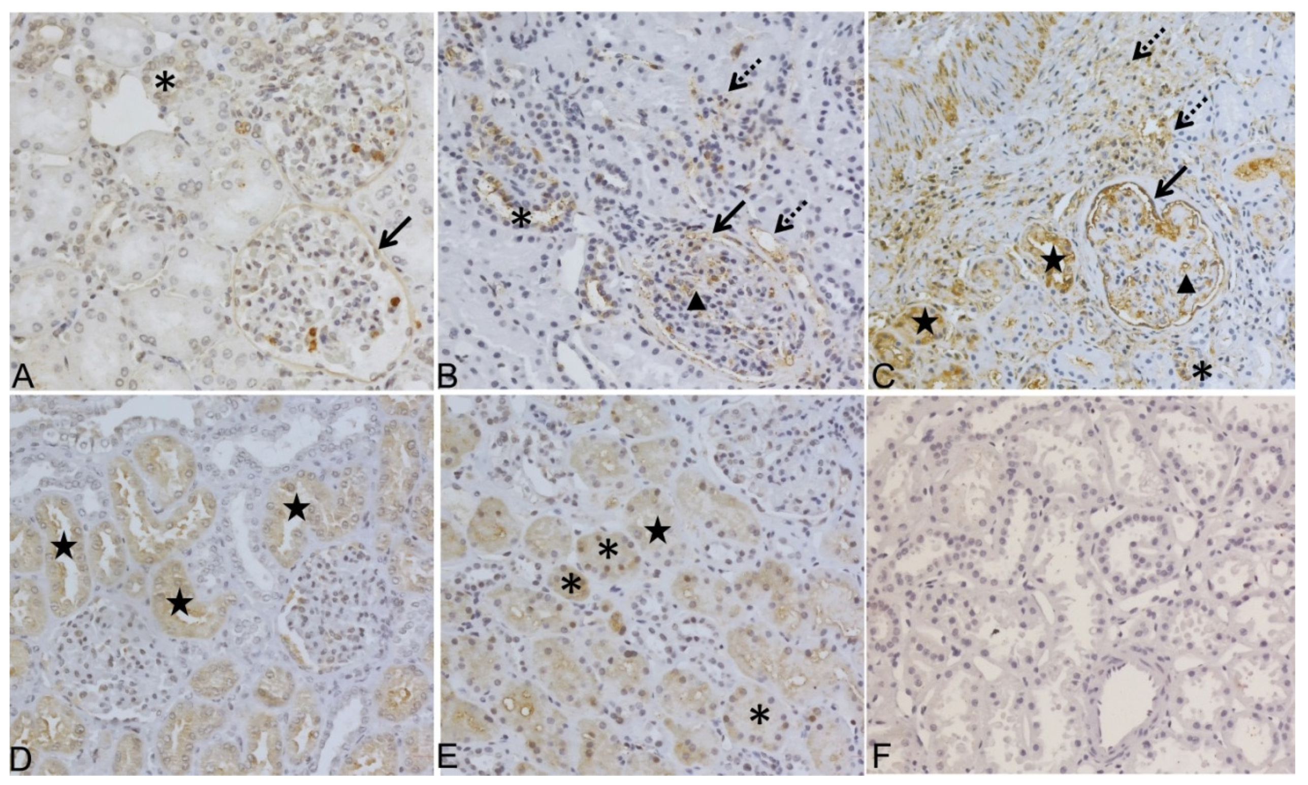 Diagnostics 12 00648 g003