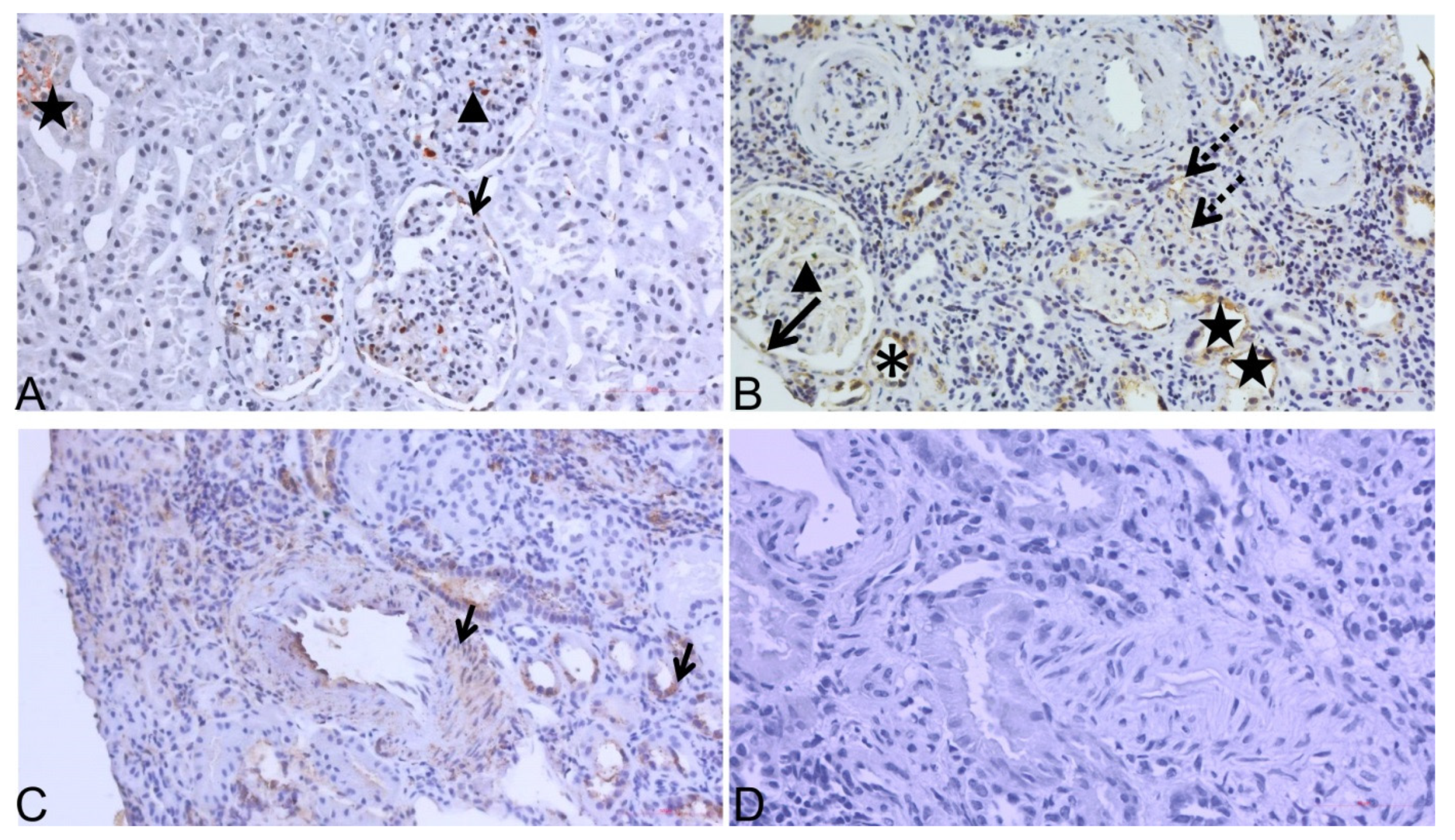 Diagnostics 12 00648 g004