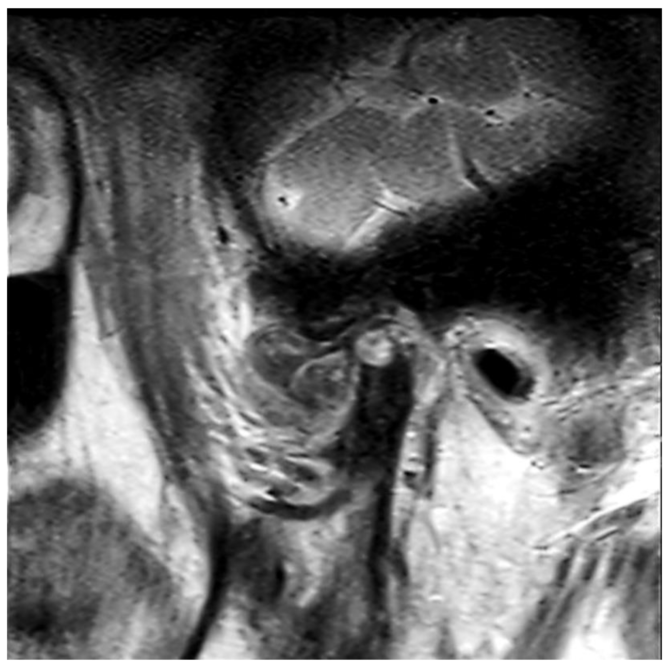 Diagnostics 12 00651 g003