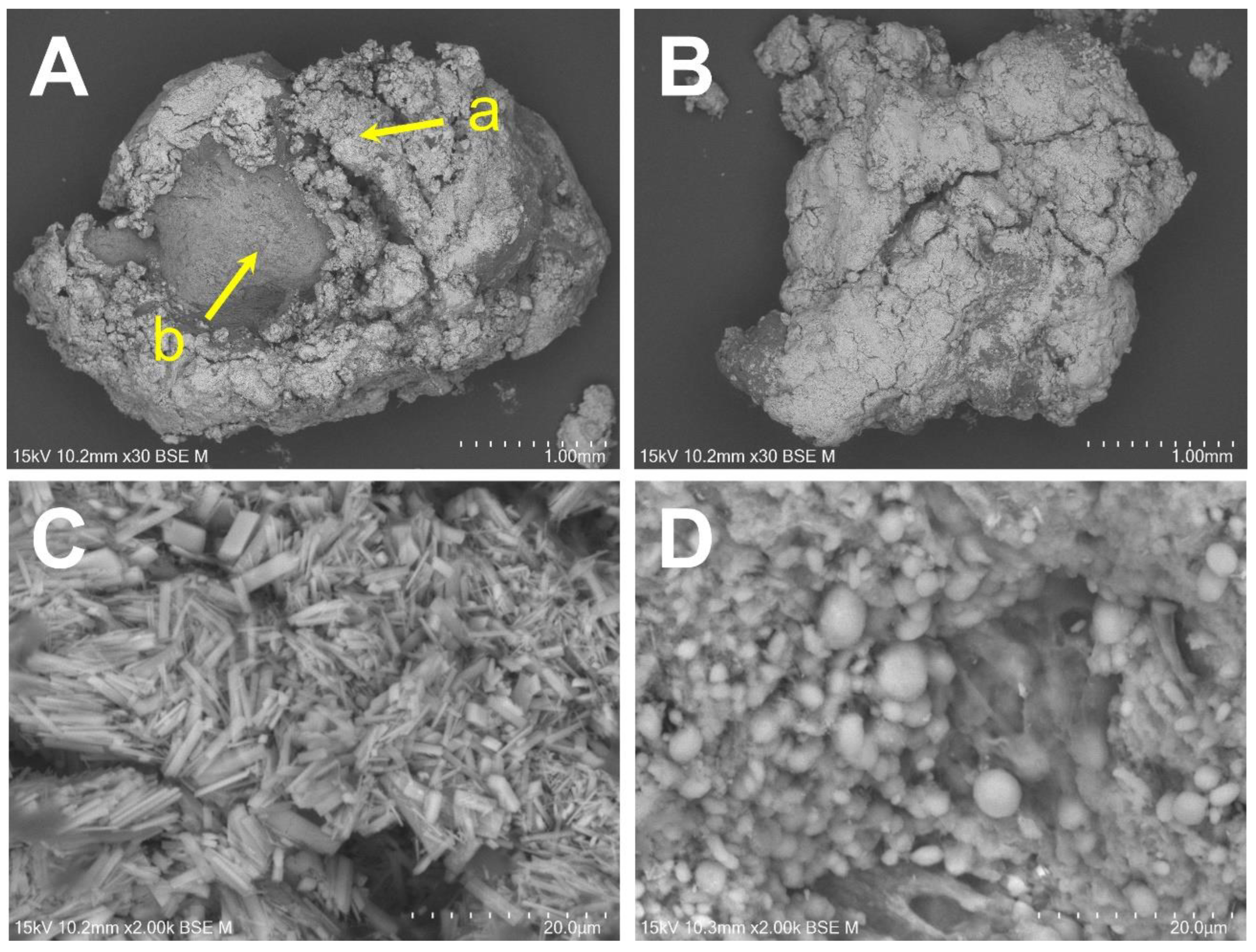 Diagnostics 12 00651 g007