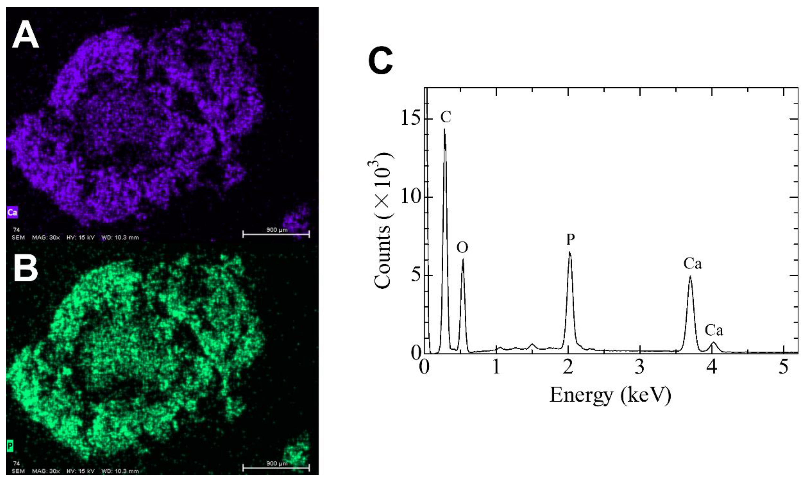 Diagnostics 12 00651 g008