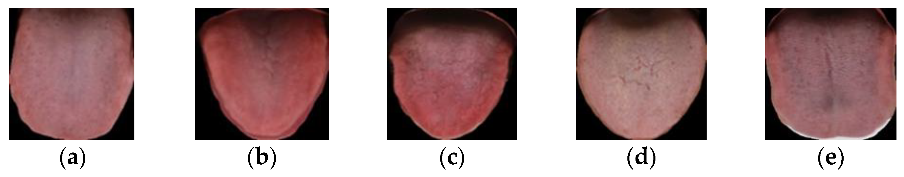 Diagnostics 12 00653 g002