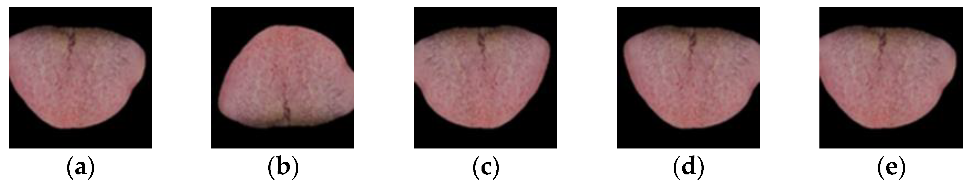 Diagnostics 12 00653 g003