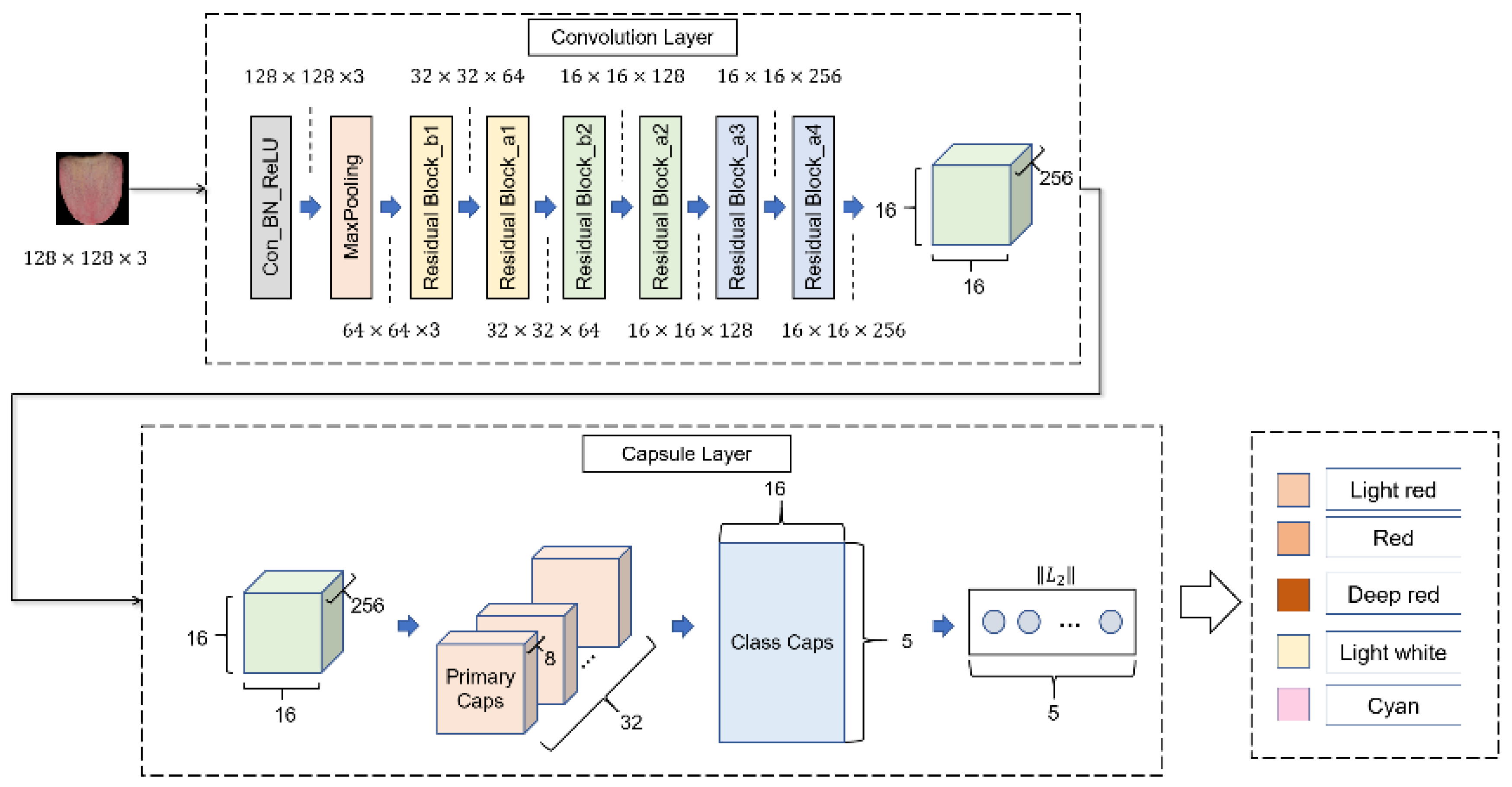 Diagnostics 12 00653 g005