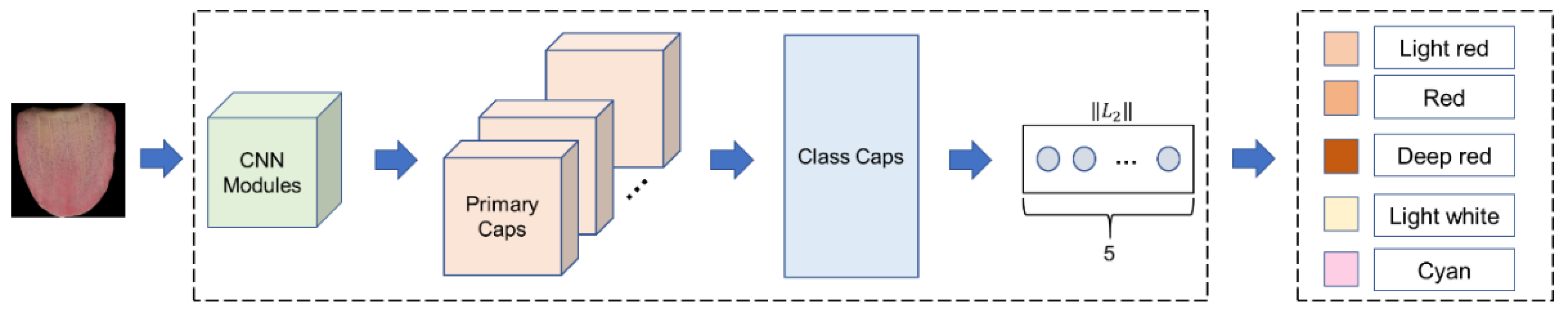 Diagnostics 12 00653 g011